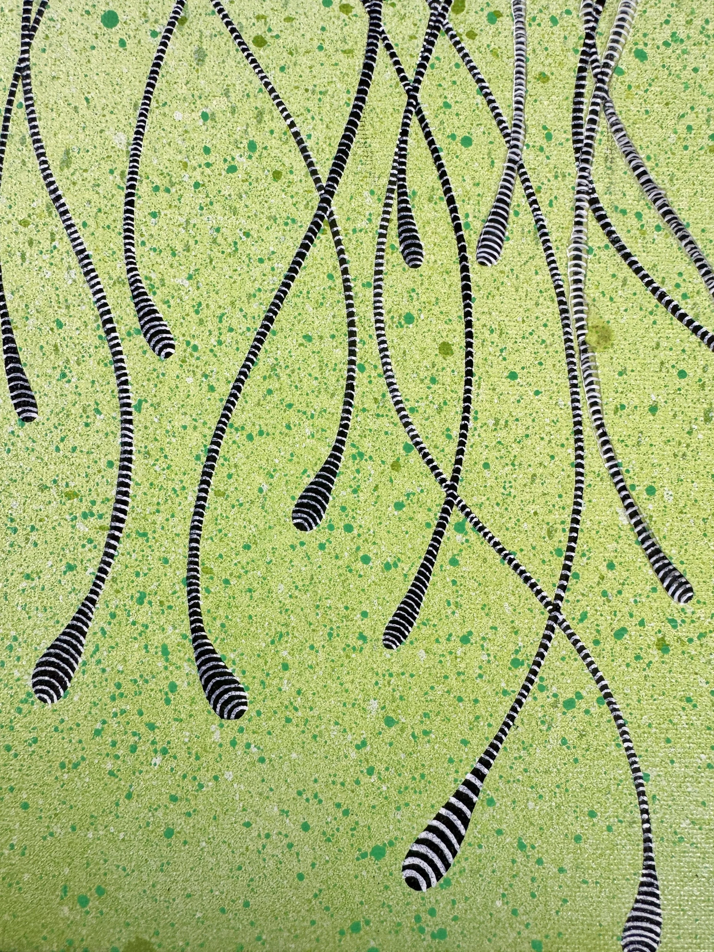 Prana Shakti Close Up 5.jpg