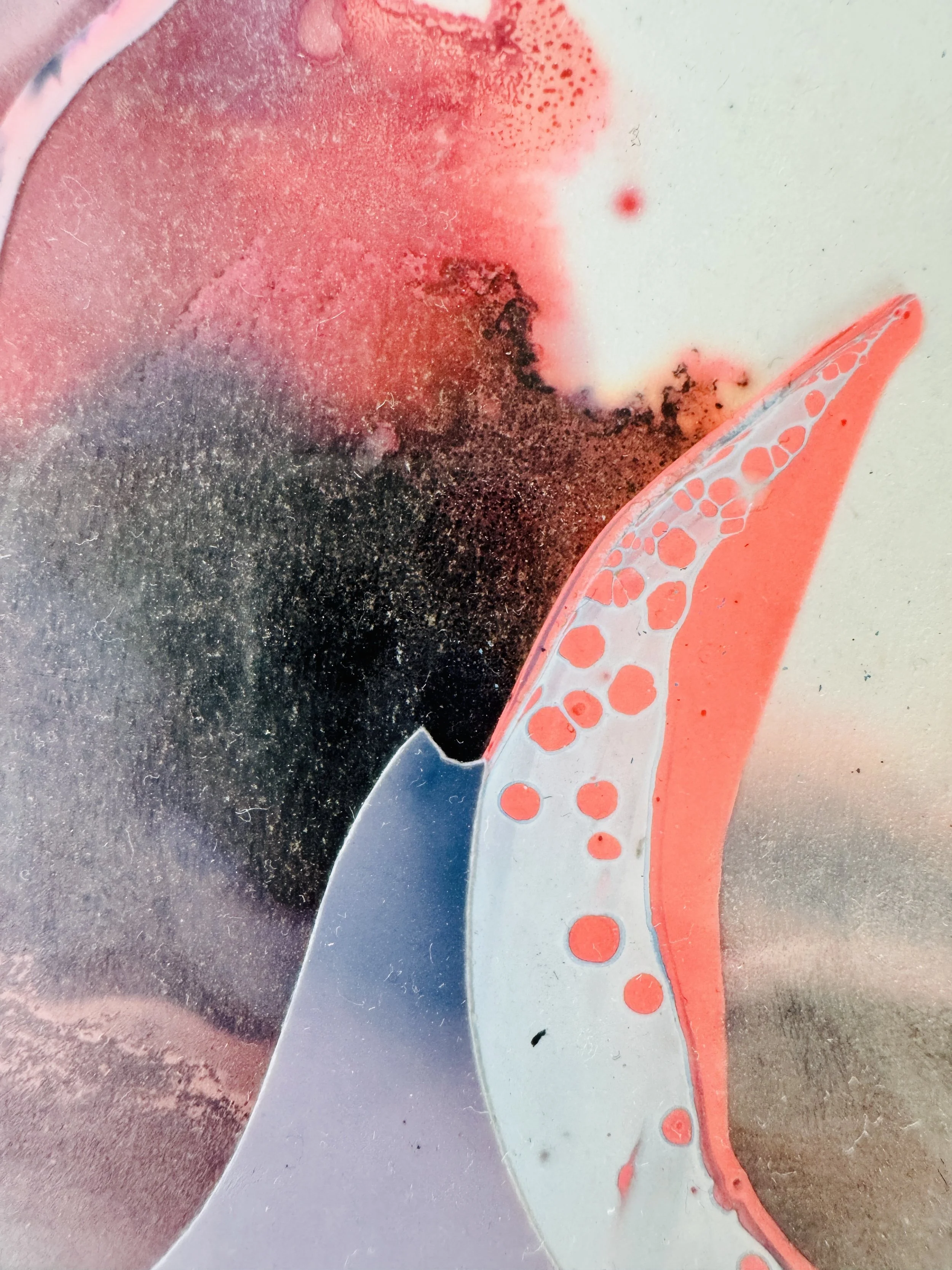 Follow The Wave Close Up.jpg