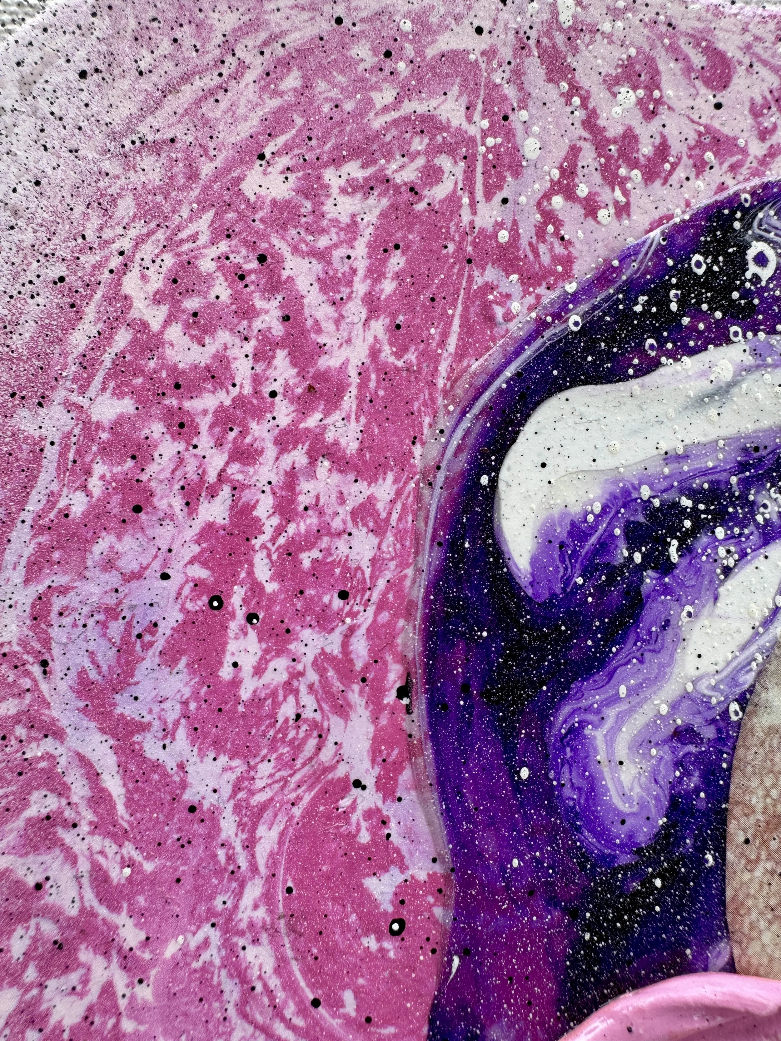 Coral Cove Close Up 2.jpg