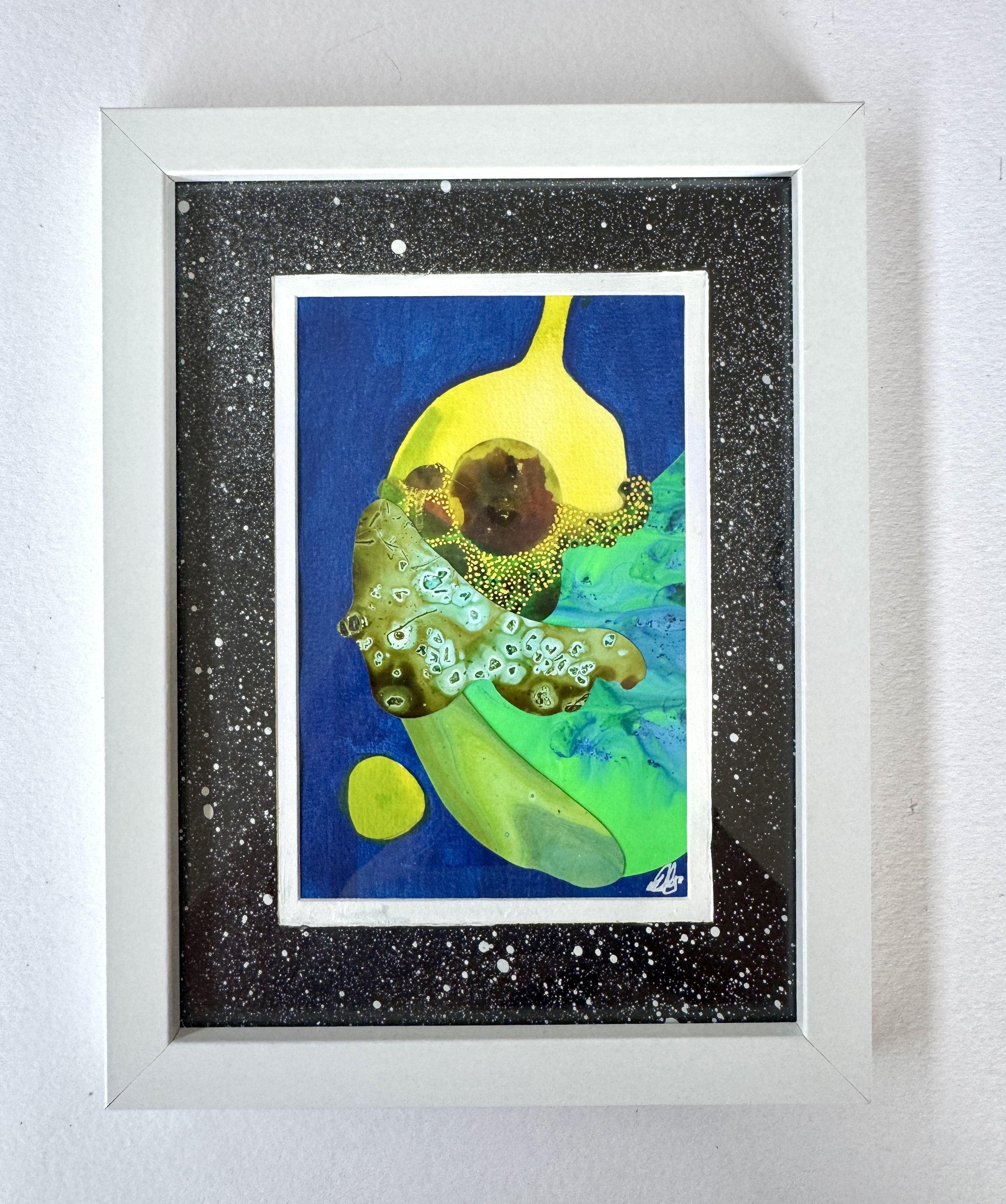 Moth Lessons Framed.jpg