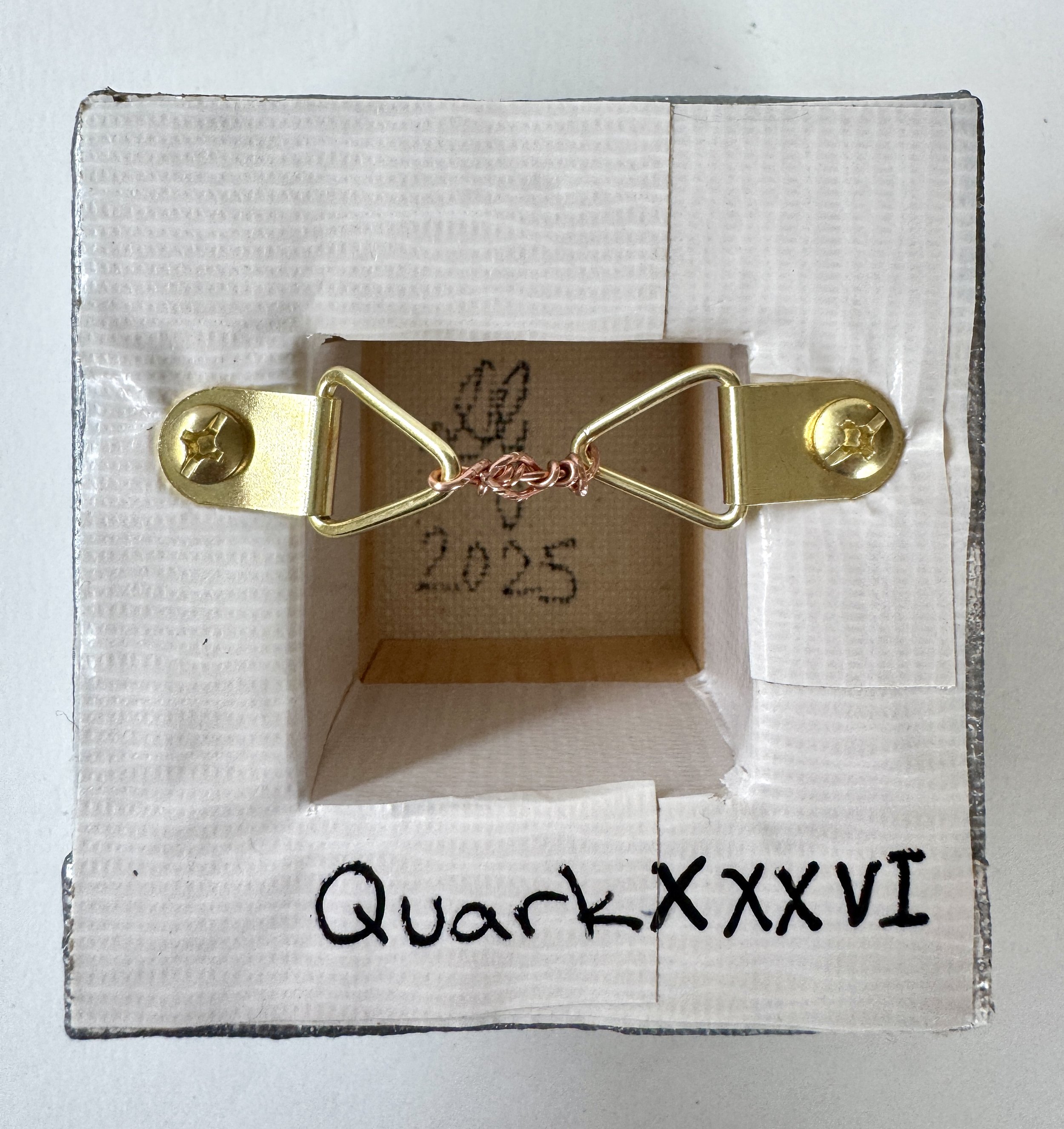 Quark XXXVI Back View.jpg