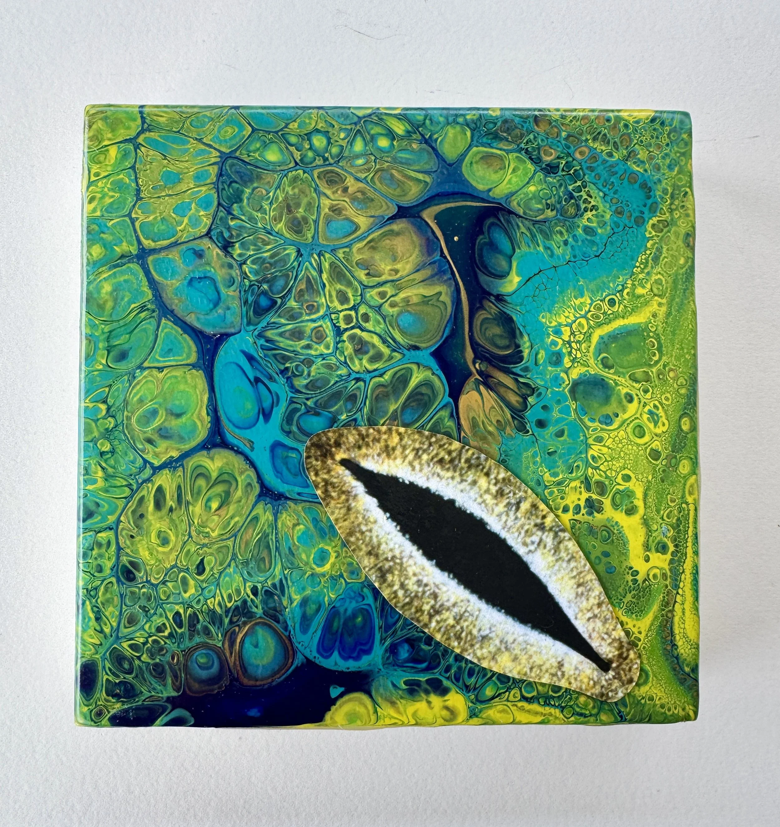 Observer or Observee White Background.jpg