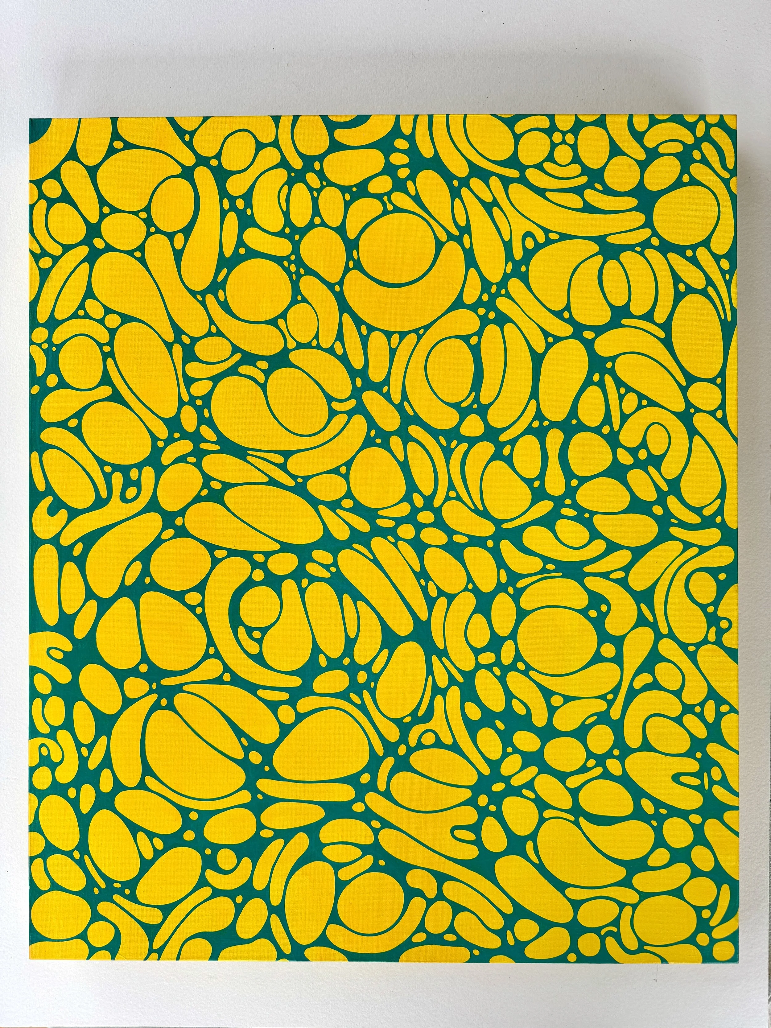 Photo 14-2-2026, 1 55 44 pm.jpg