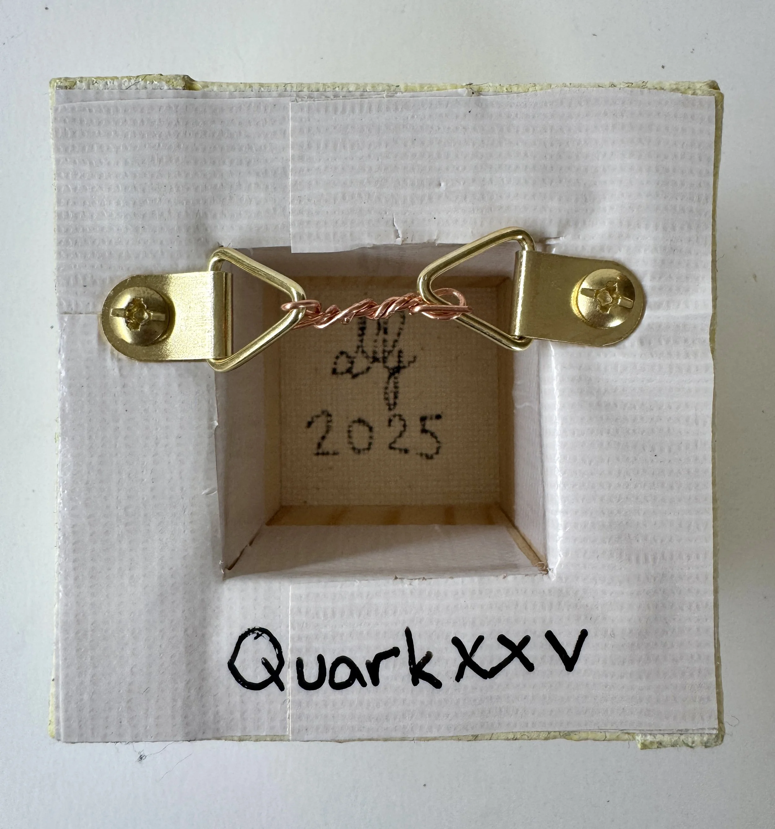 Quark XXV Back View.jpg