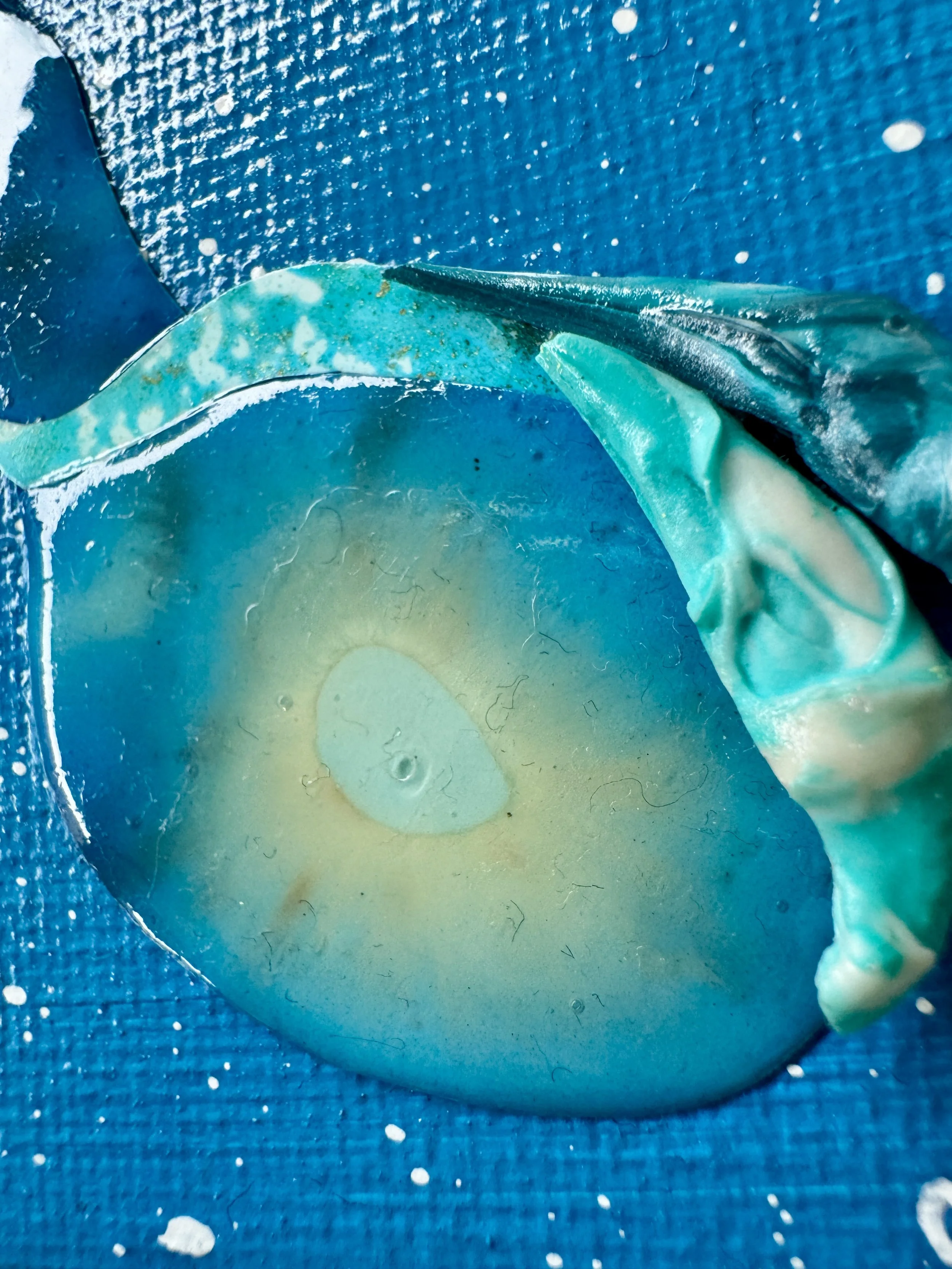 Quark XVII Close Up.jpg