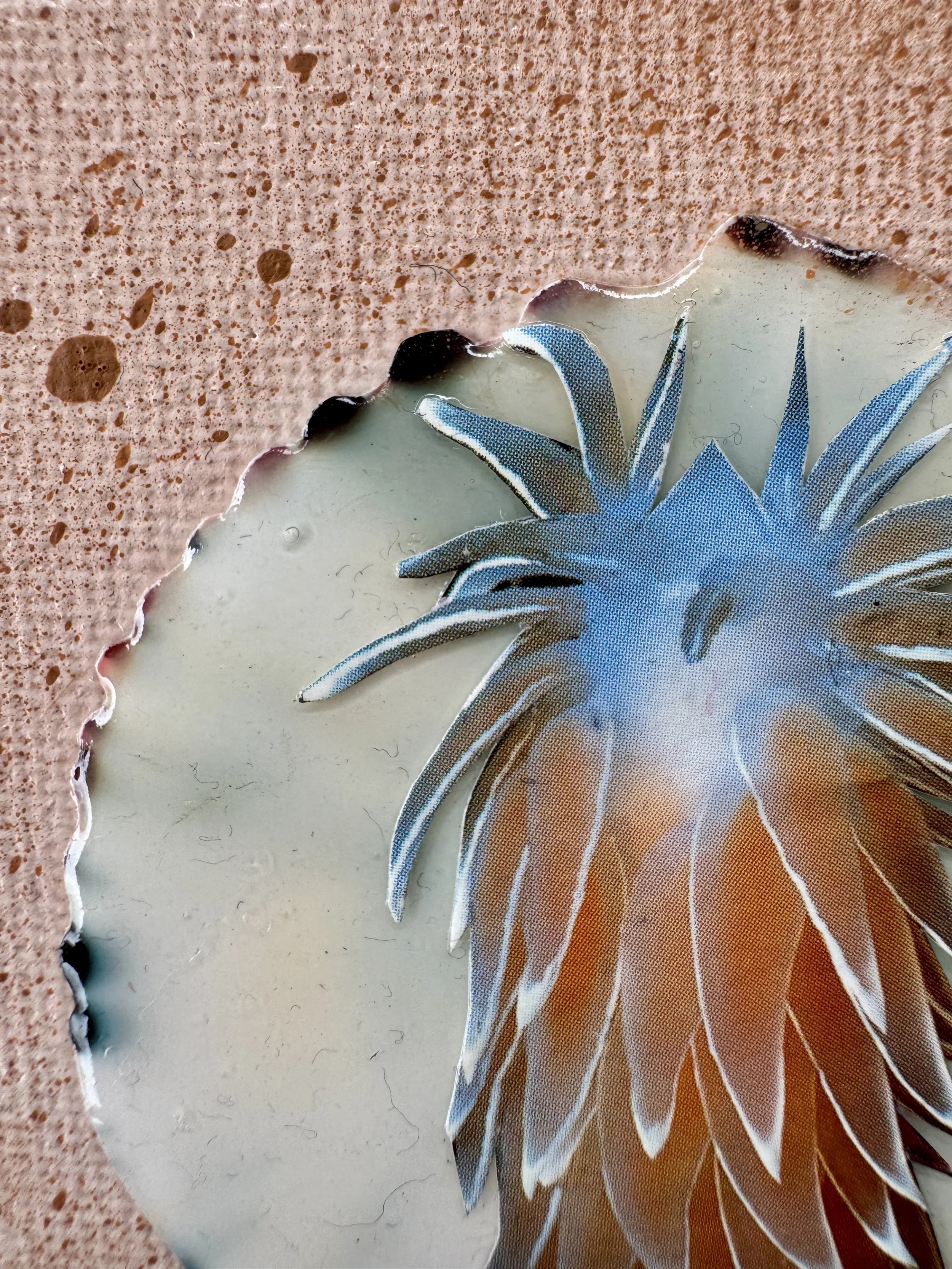 Quark III Close Up.jpg