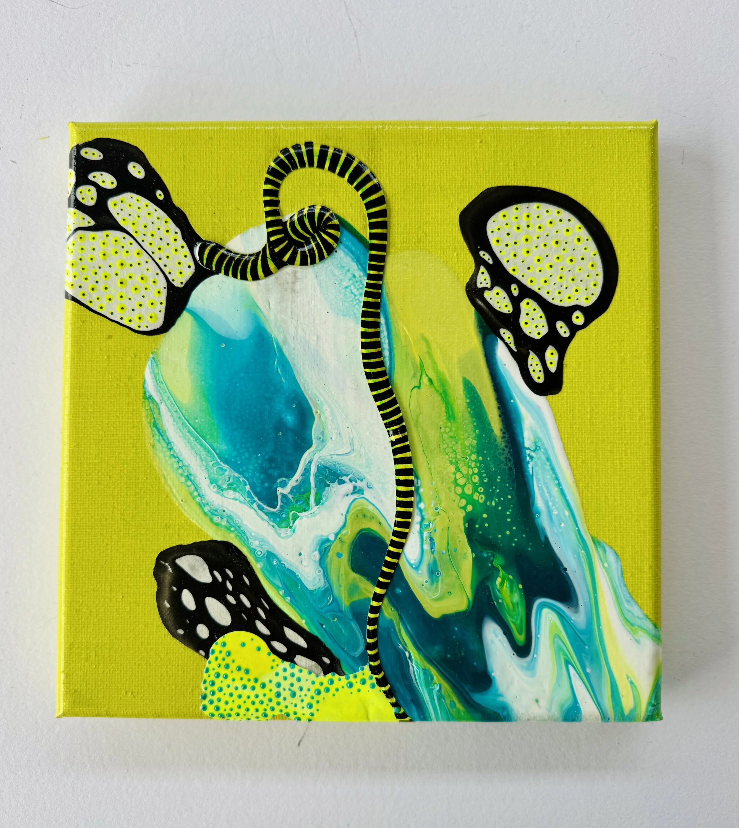 Cheshire Ladder White Background.jpg