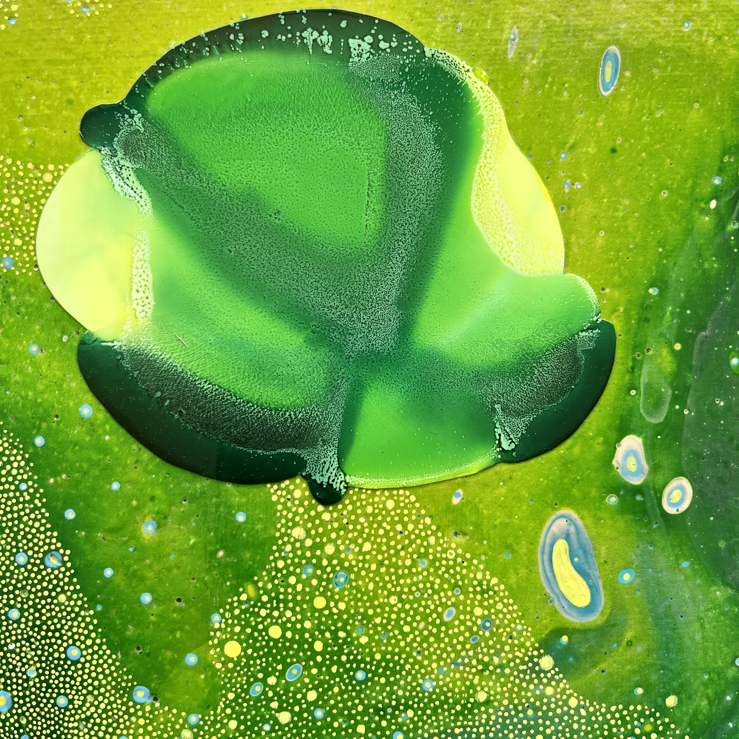 Buggin Close Up Detail_Danyal de Gruchy.jpg