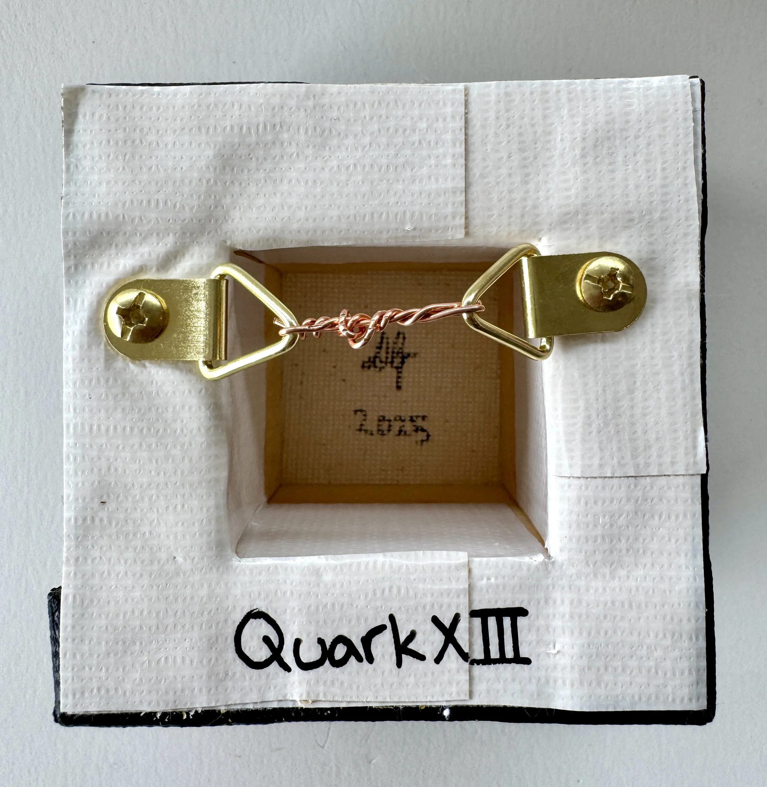 Quark XIII Back View.jpg