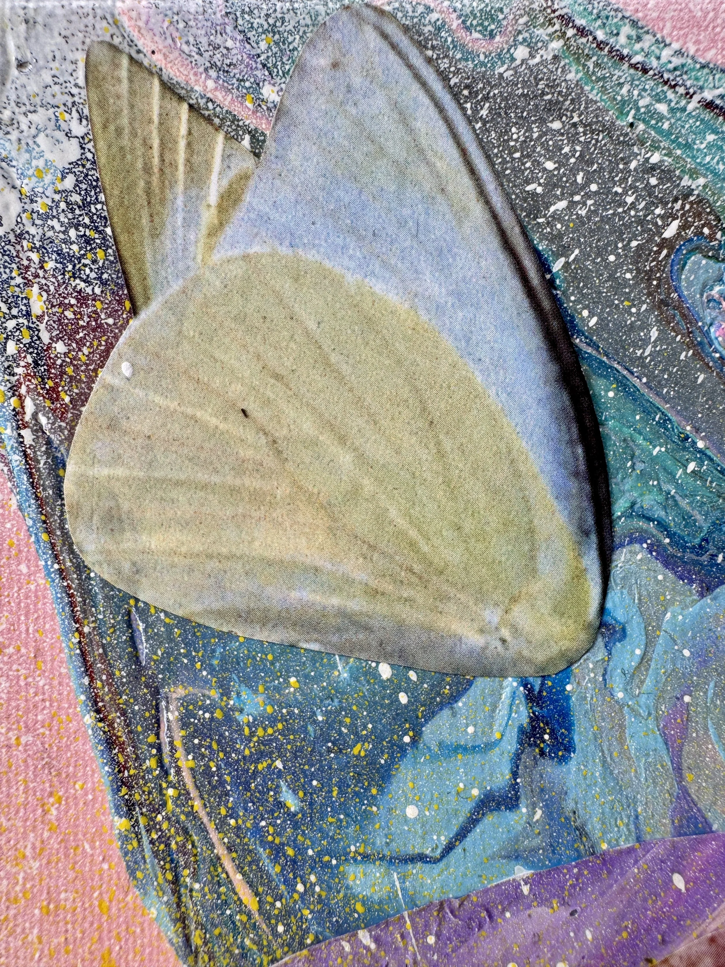 Soft Changes Close Up 4.jpg