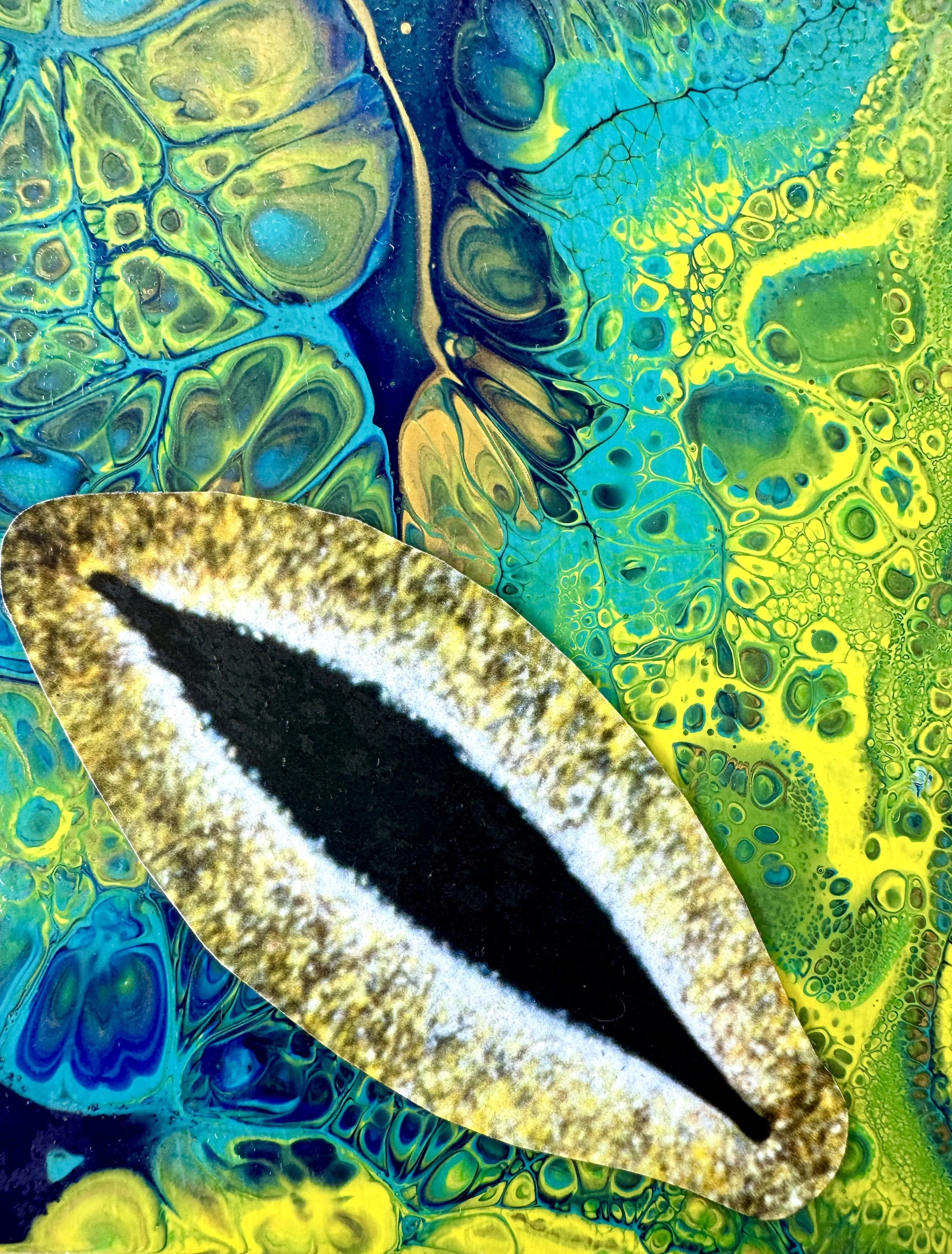 Observer or Observee Close Up.jpg