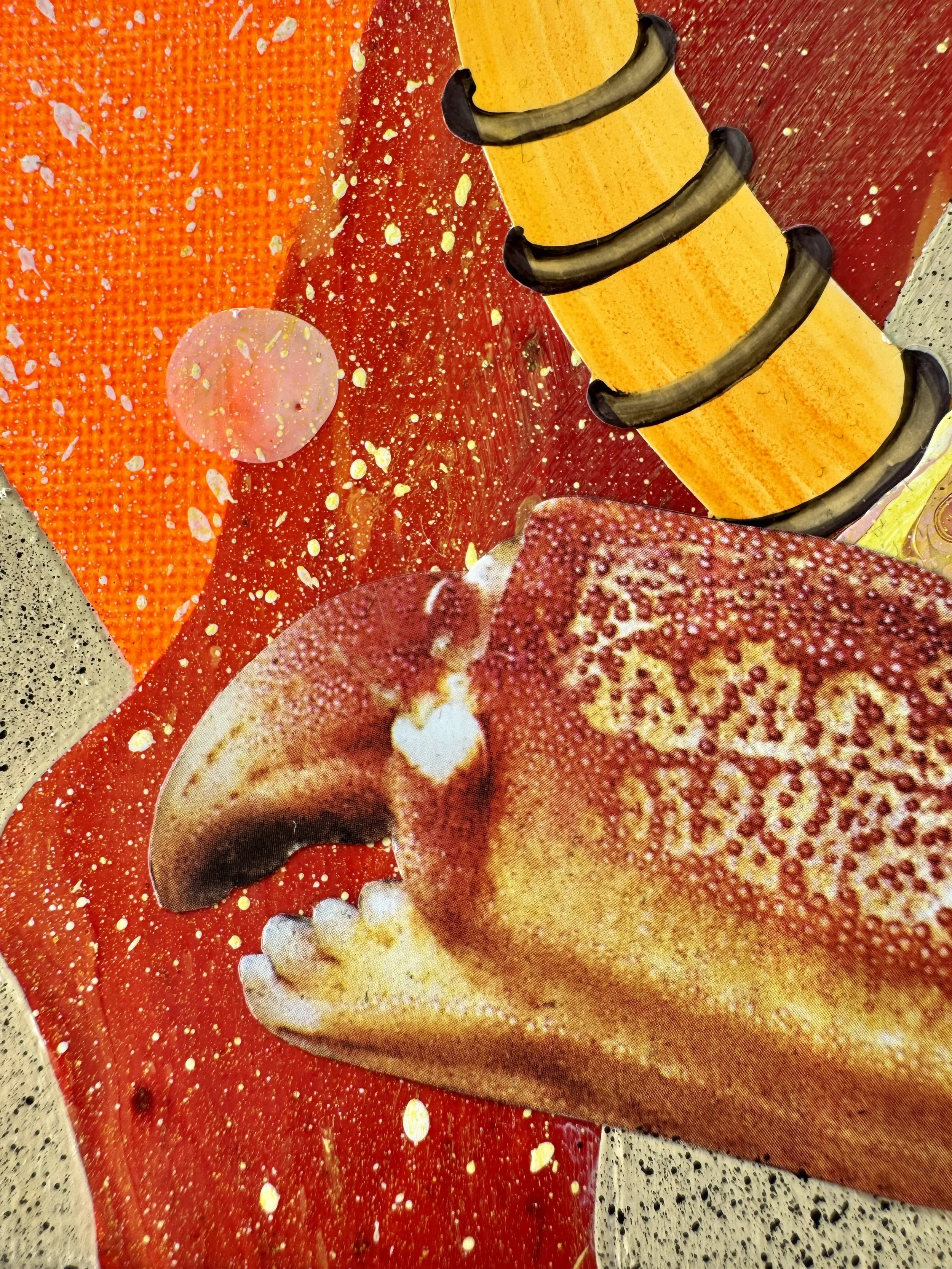 Sea Squabble Close Up 5.jpg