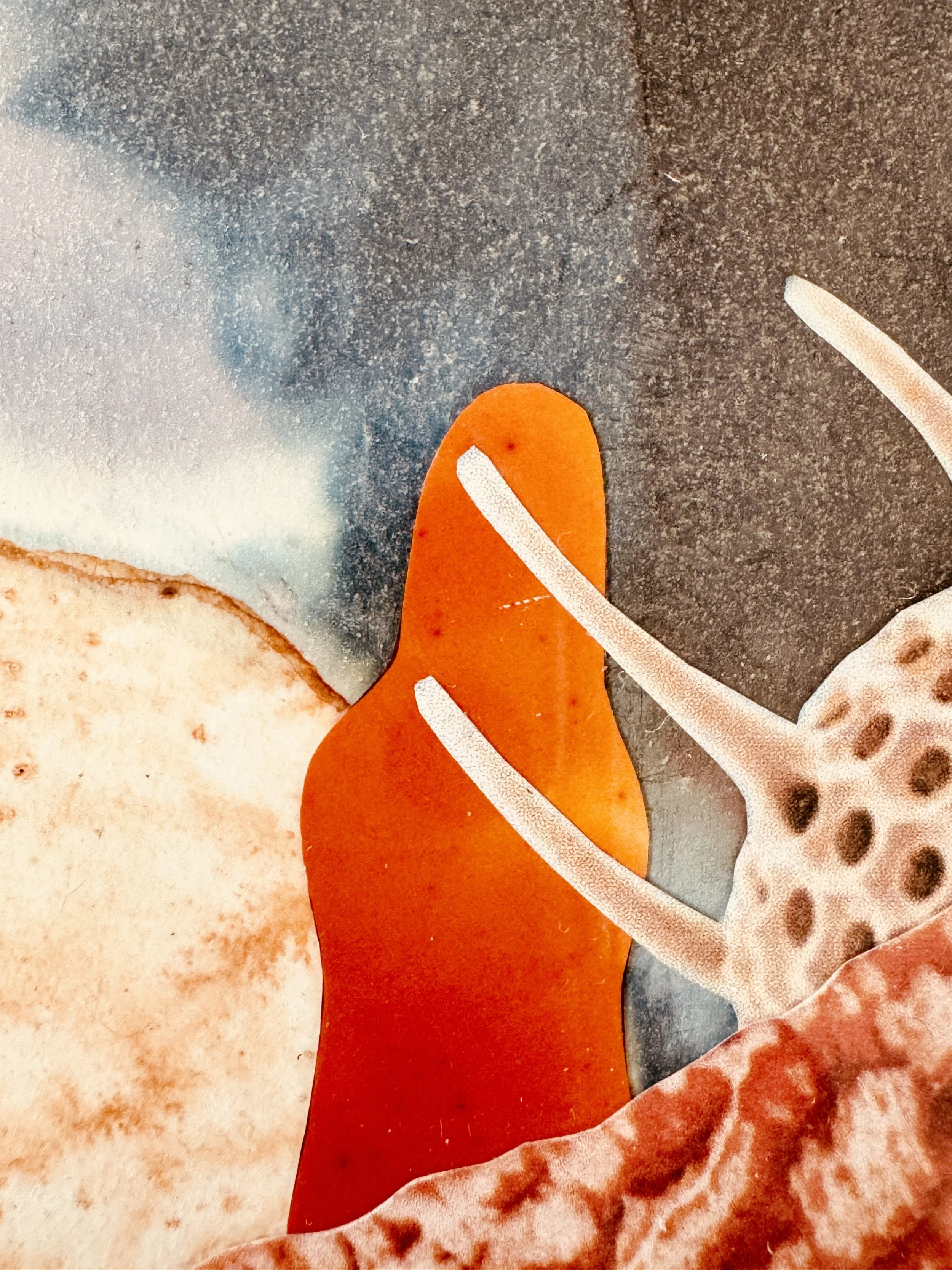 Give Your Question To the Sea Close Up.jpg