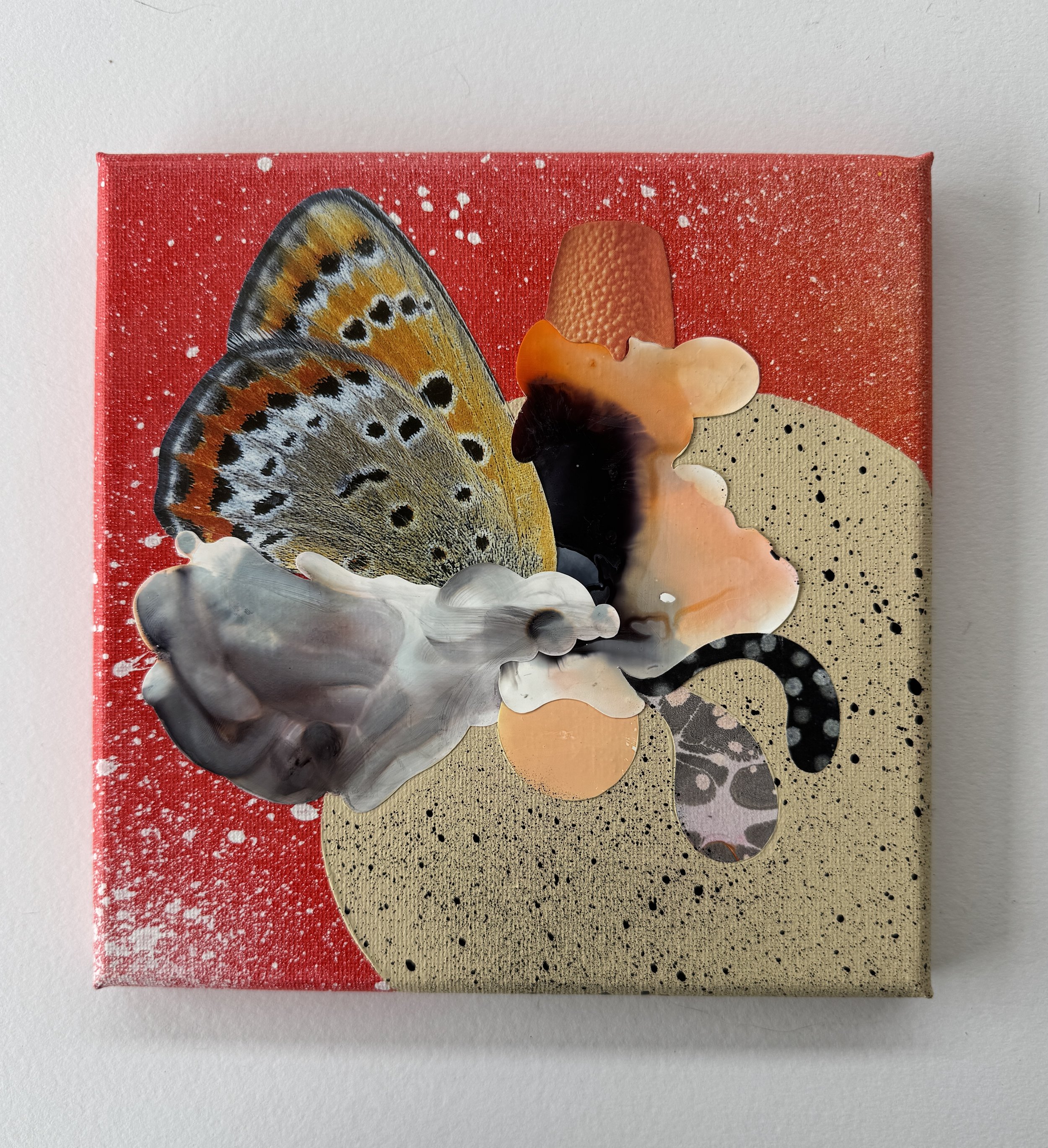 When Butterflies Get Bored White Background.jpg