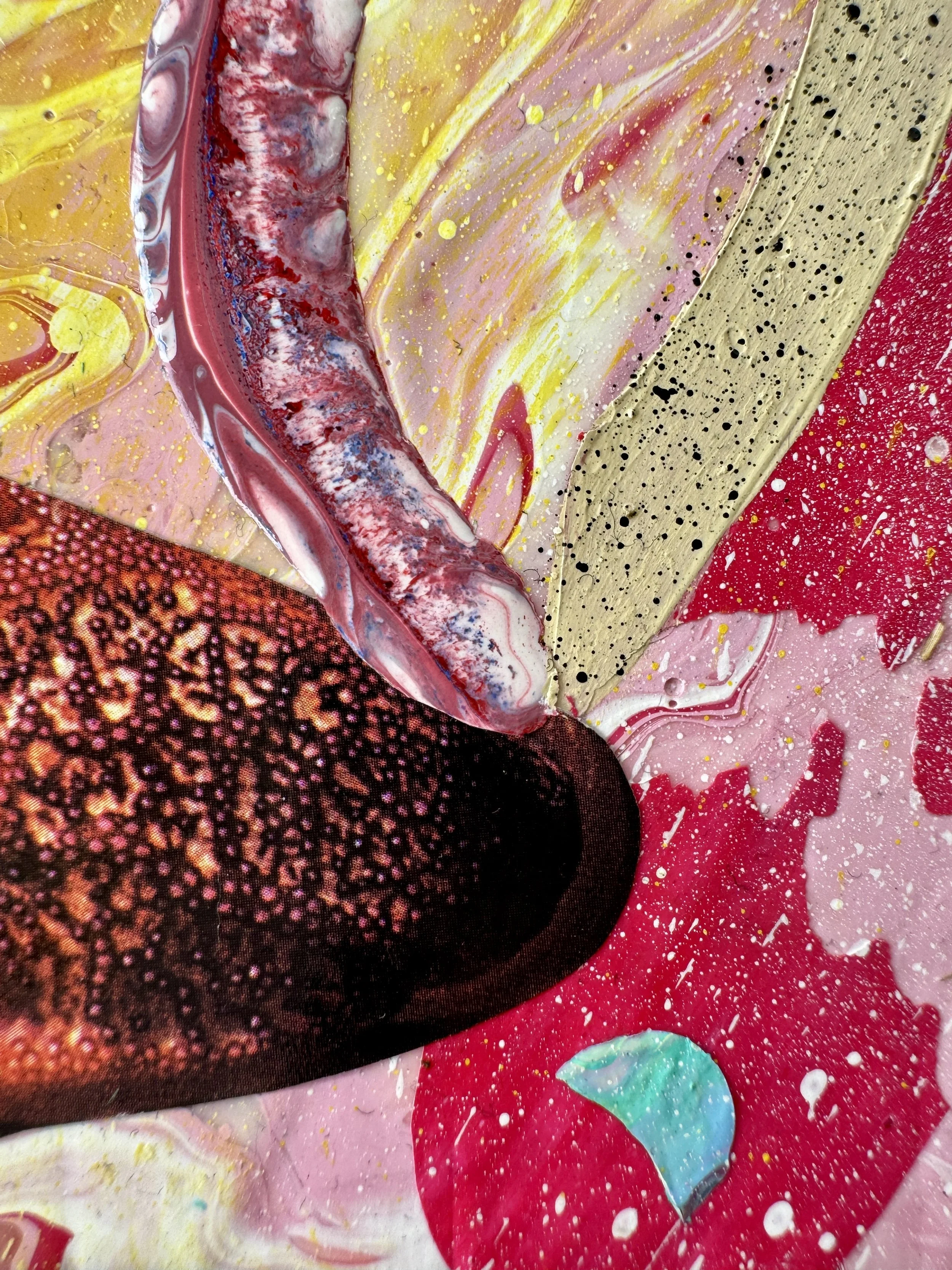 Sea Squabble Close Up 4.jpg