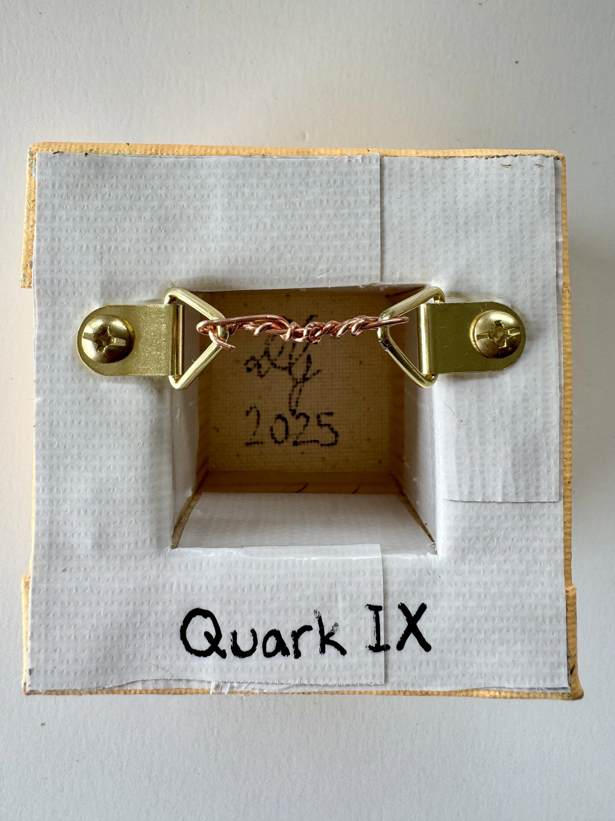 Quark IX Back View.jpg