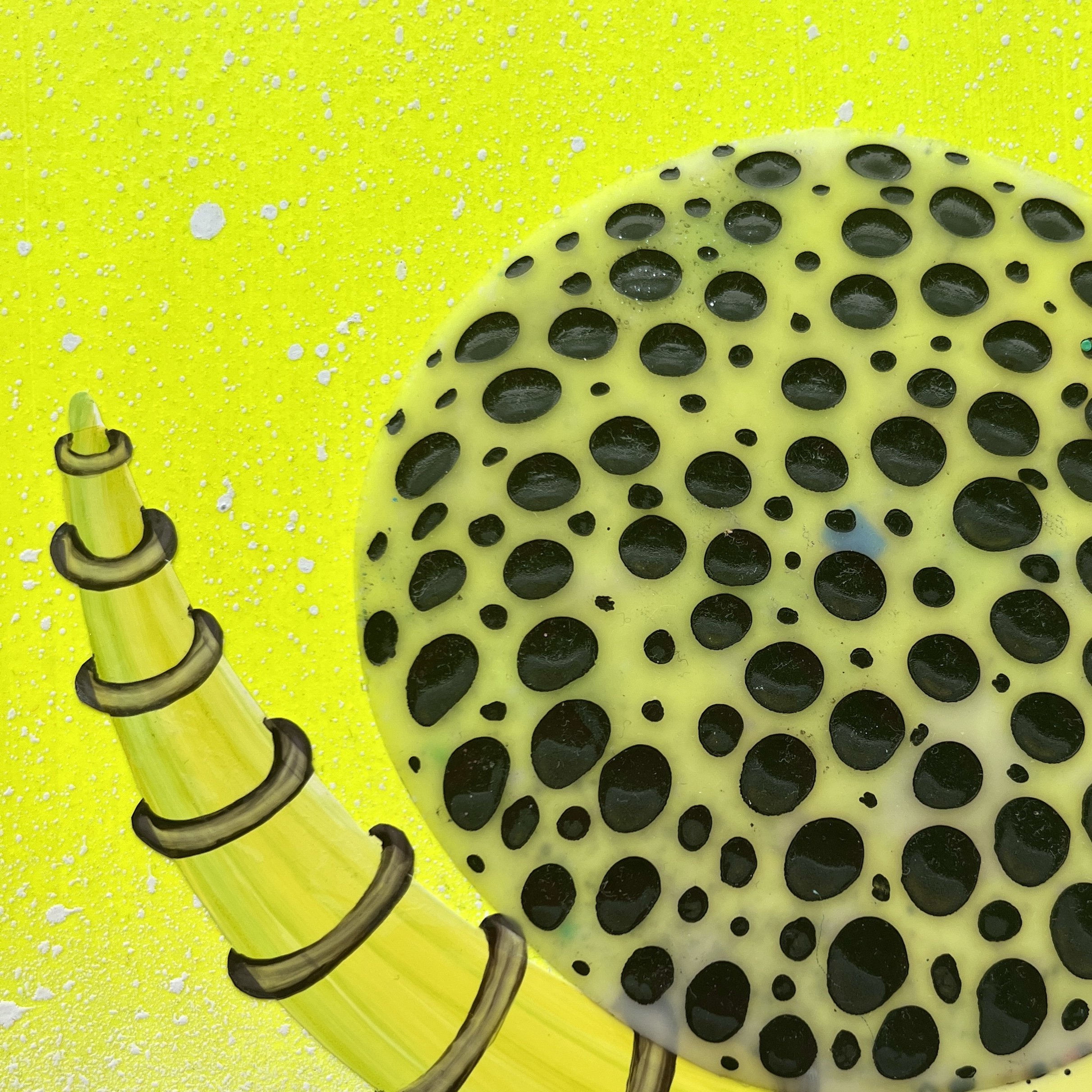 Trypophobia Up Close Details_Danyal de Gruchy.jpg