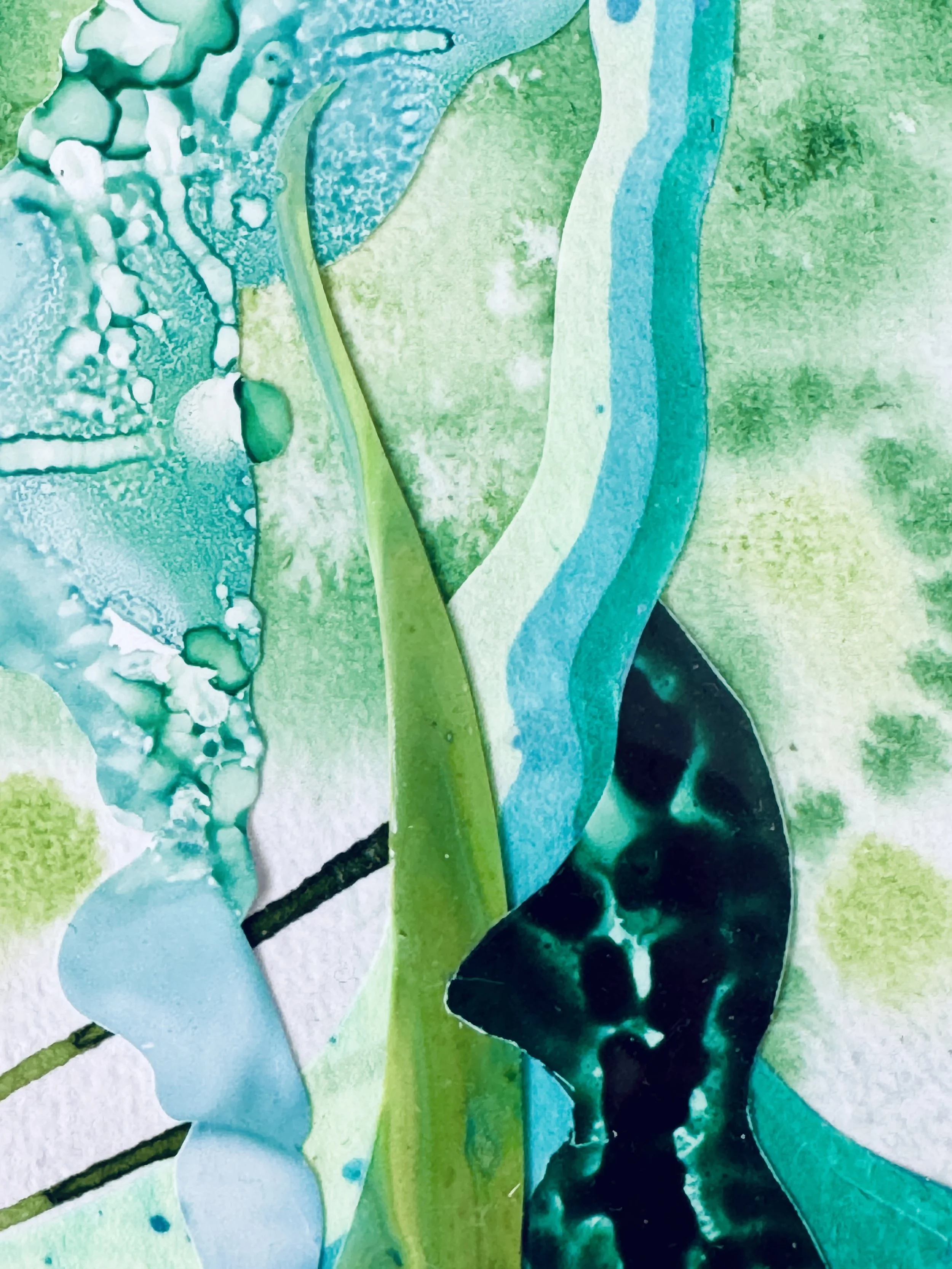 Life Sprout Close Up.jpg