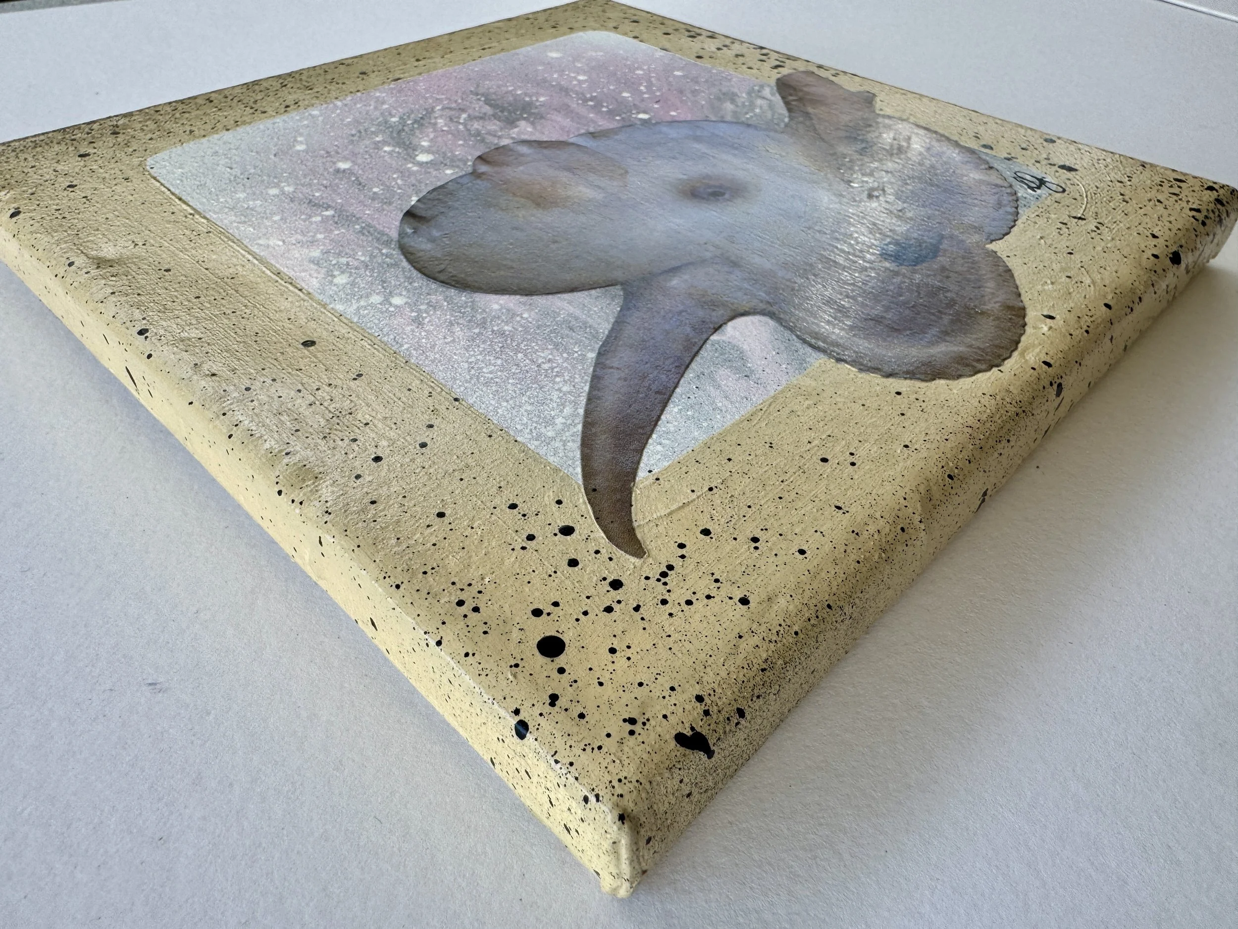 Slugged Side View.jpg