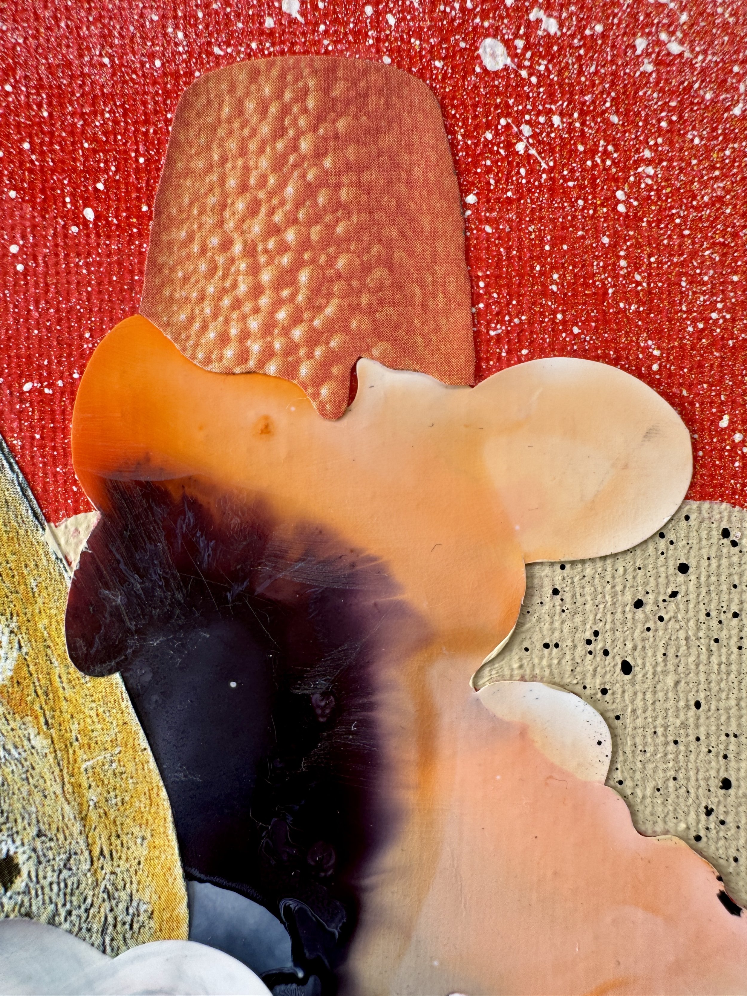 When Butterflies Get Bored Close Up 3.jpg