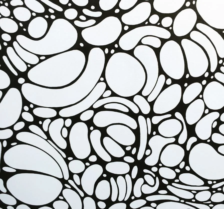 Natures Internet Close Up Details_Danyal de Gruchy.JPG