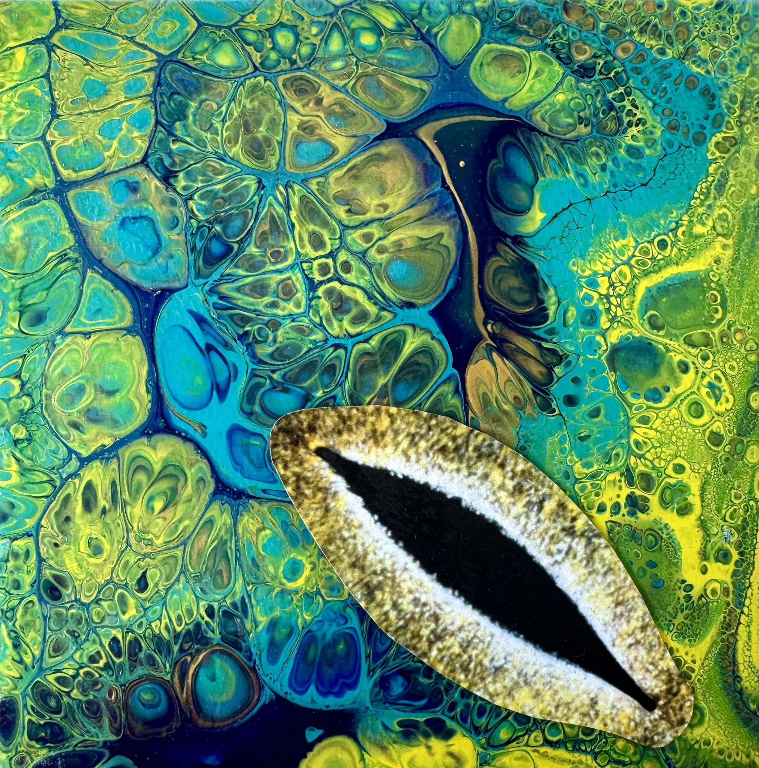 Observer or Observee.jpg