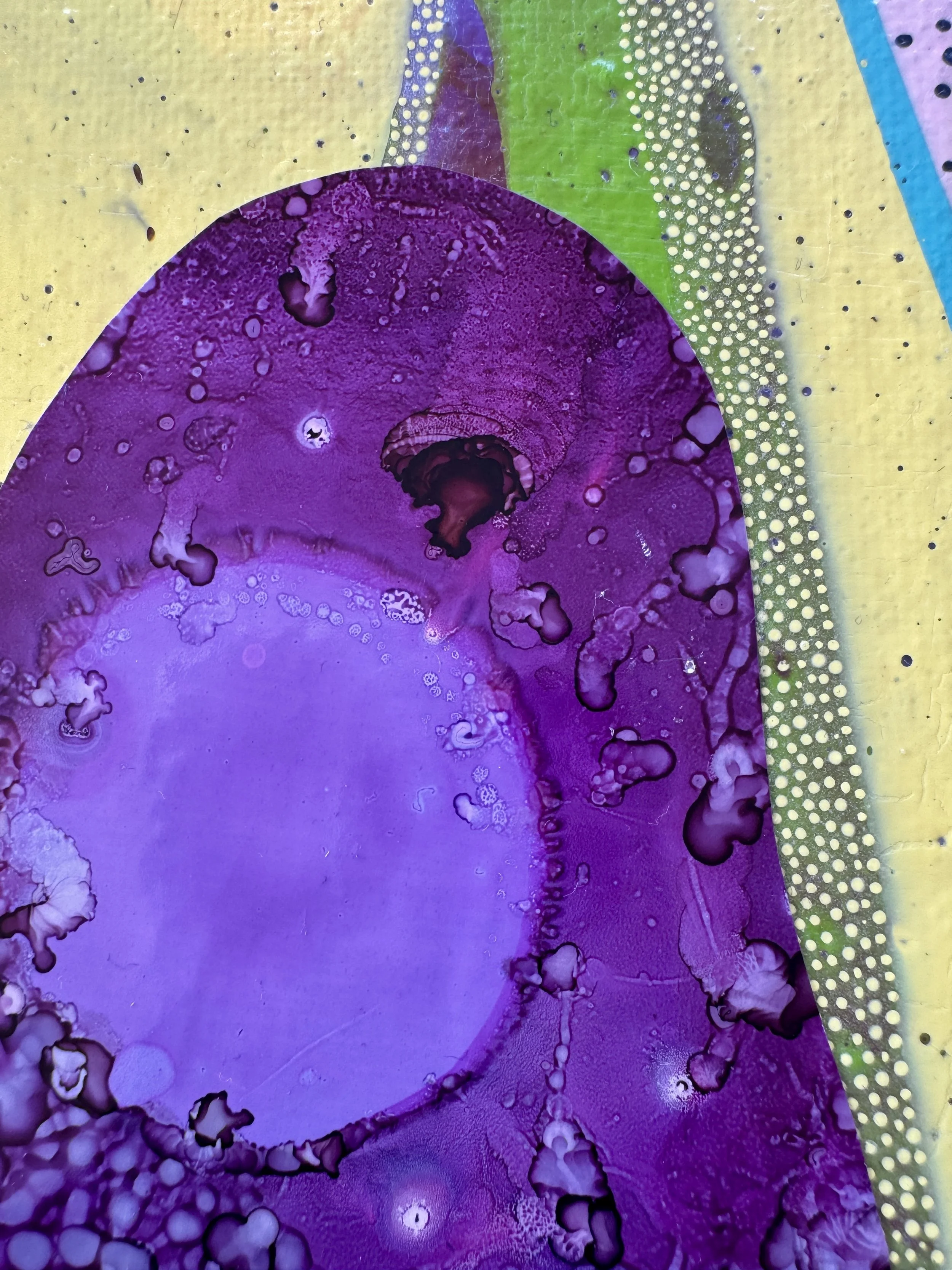 Zippidy Do Dah Close Up.jpg