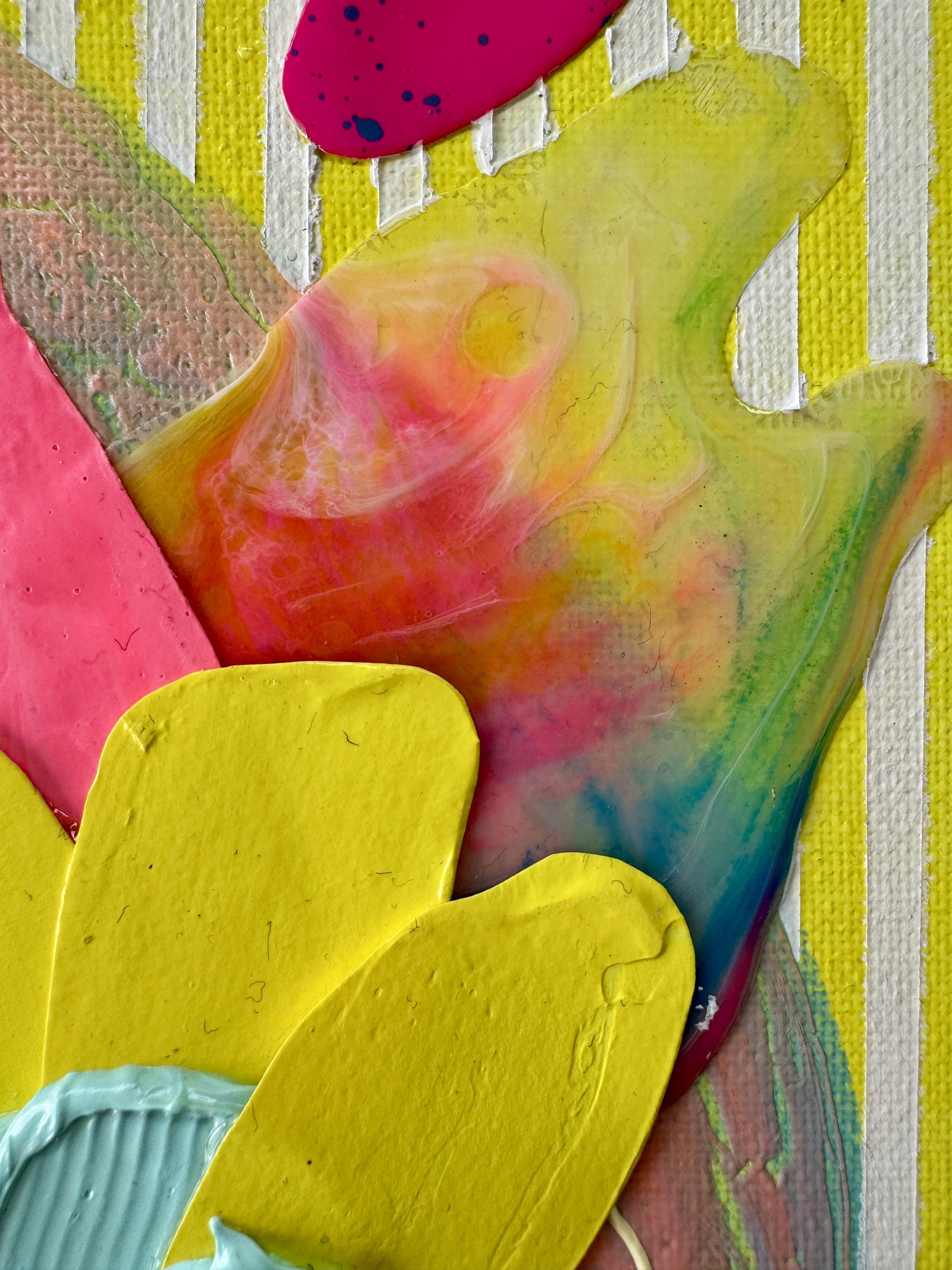 Butterfly Bonanza Close Up 4.jpg