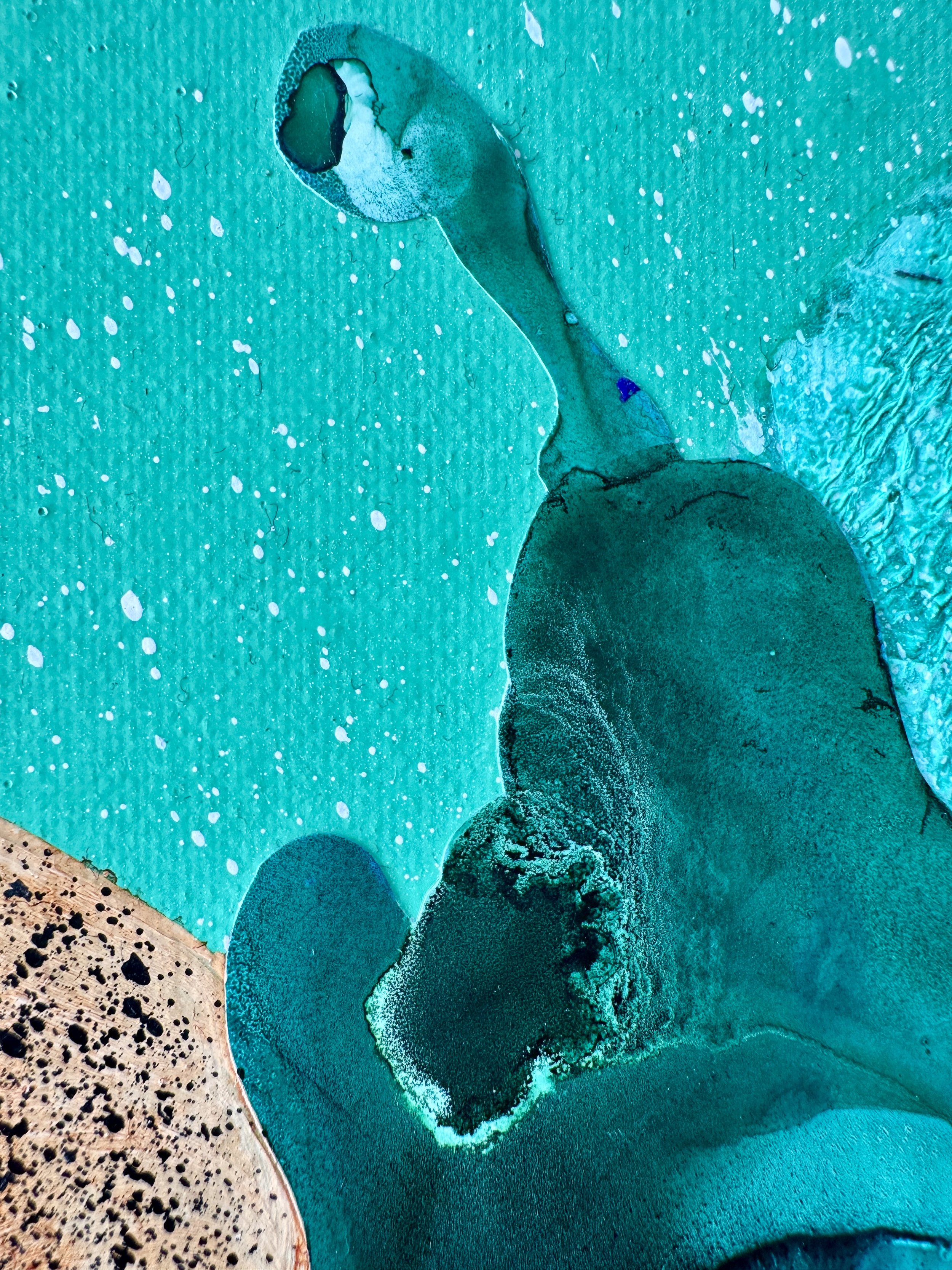 Imagine You're An Alien Close Up 4.jpg