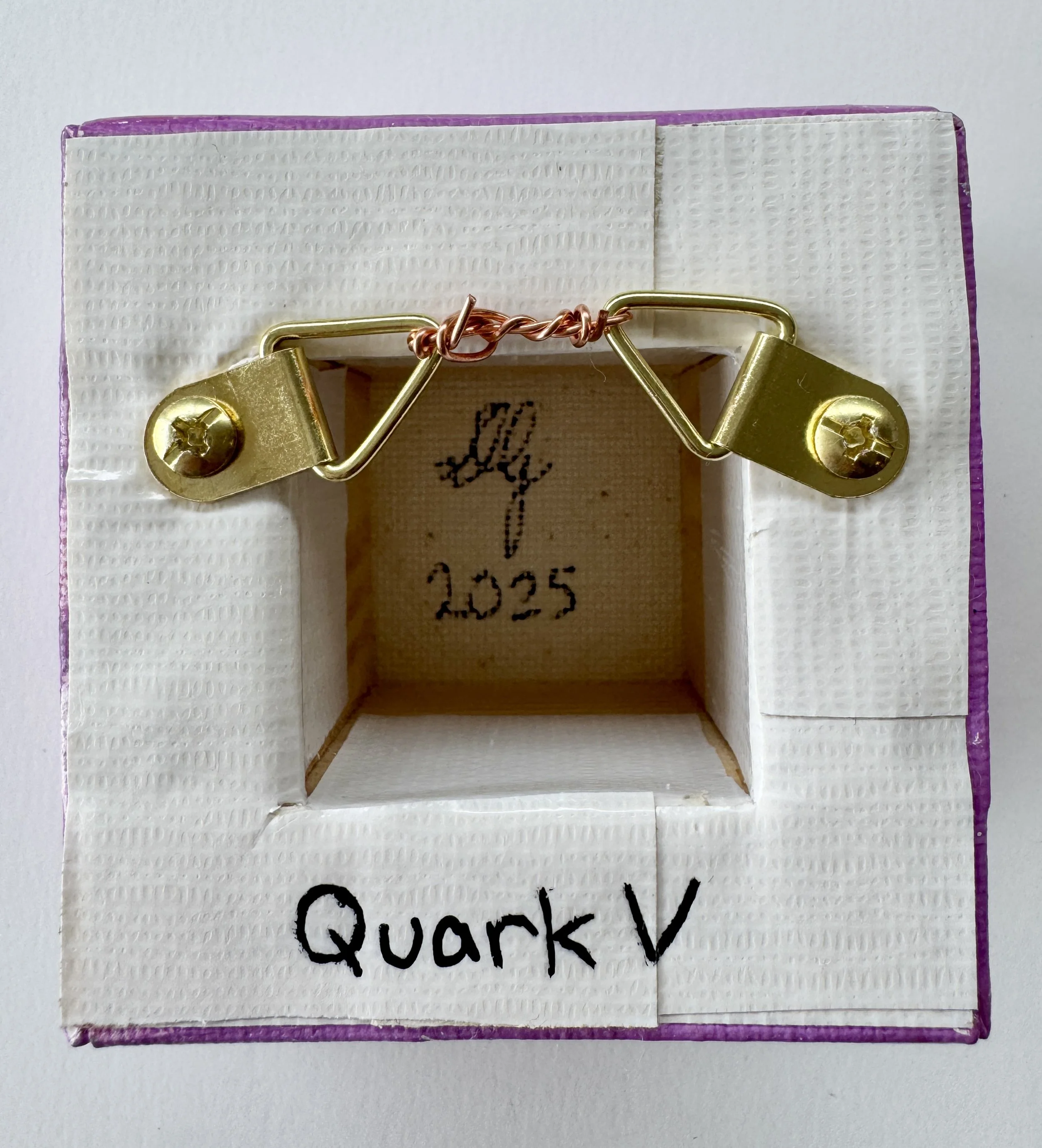 Quark V Back View.jpg
