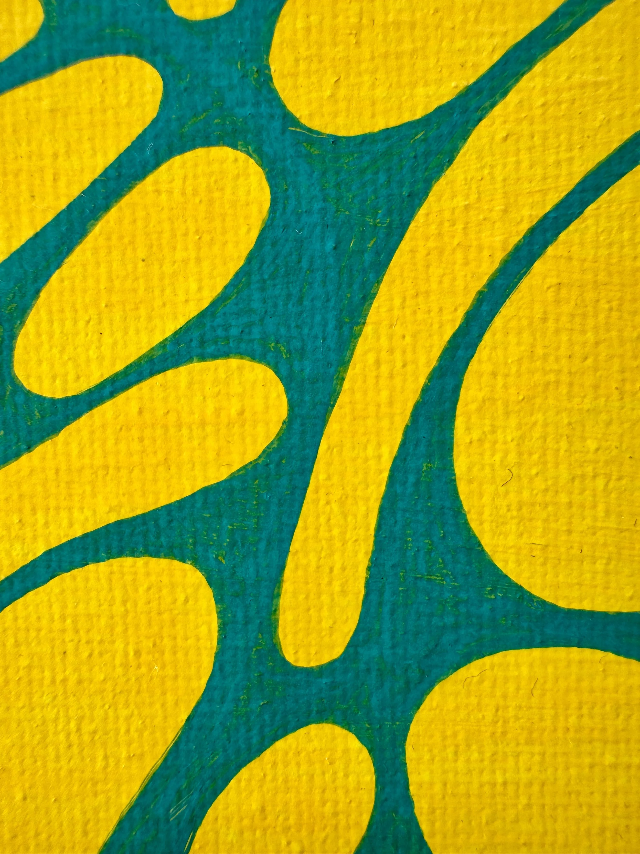 Photo 14-2-2026, 1 56 27 pm.jpg