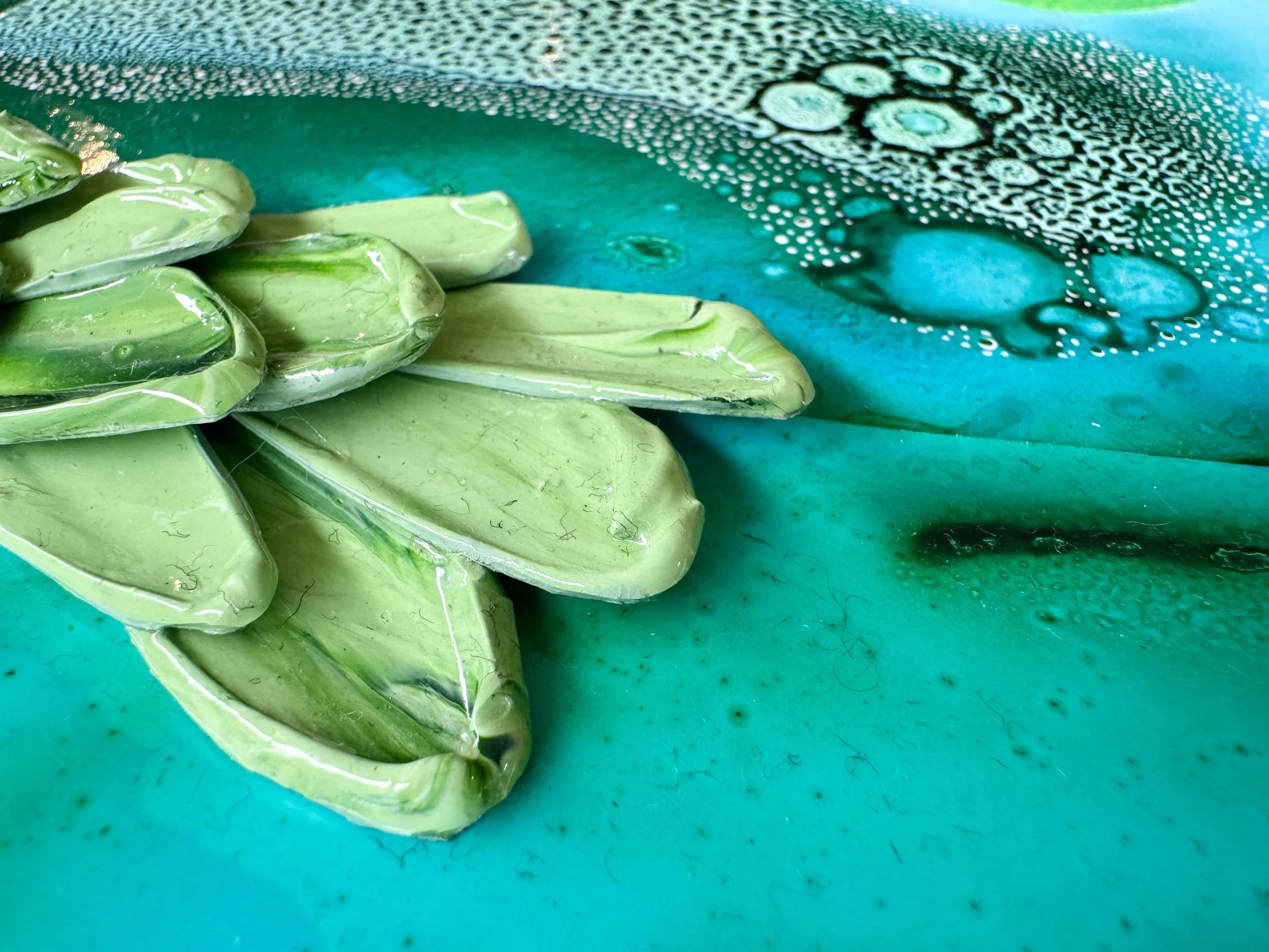 Algae Alchemy Close Up 5.jpg