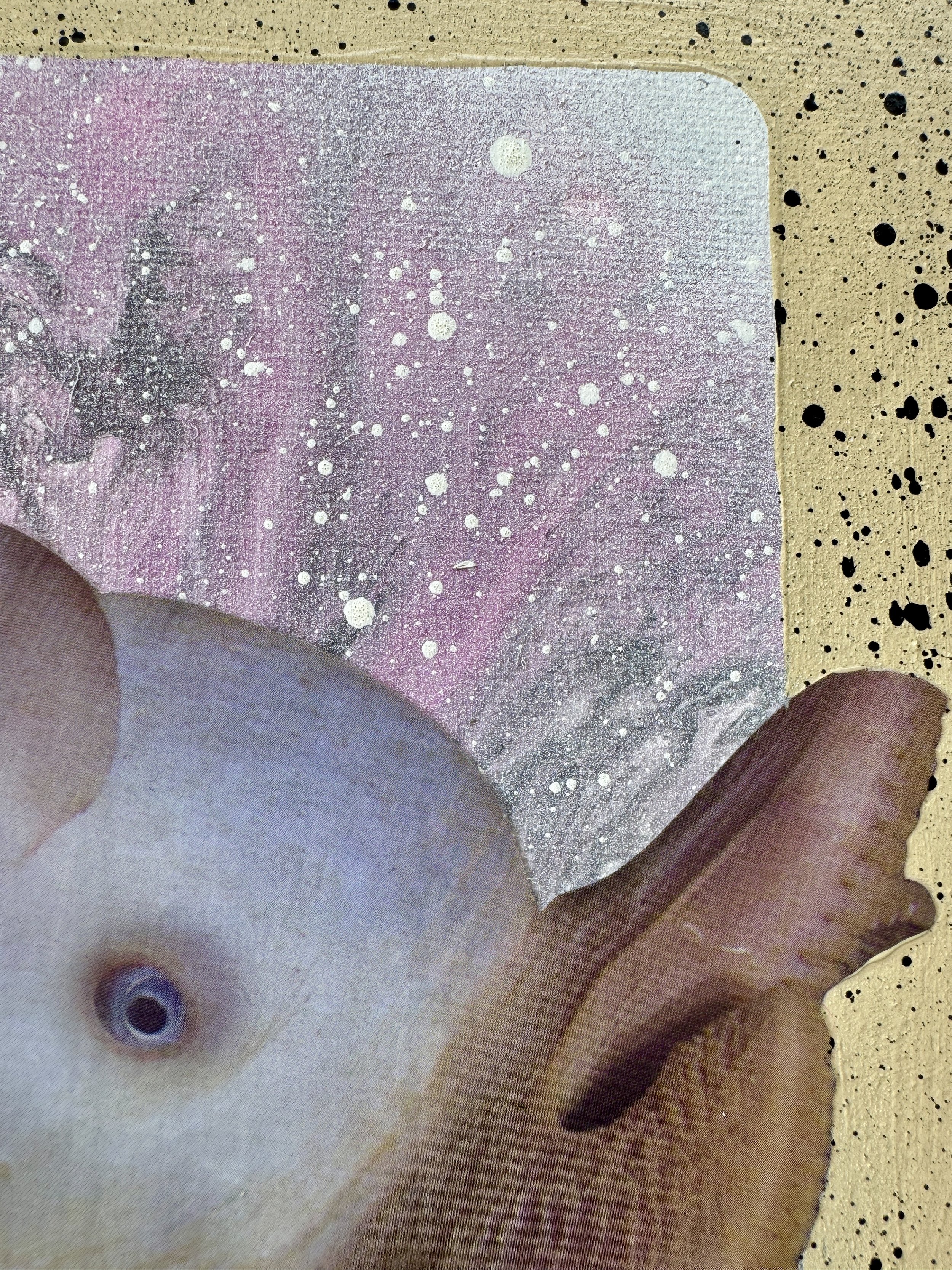 Slugged Close Up 3.jpg