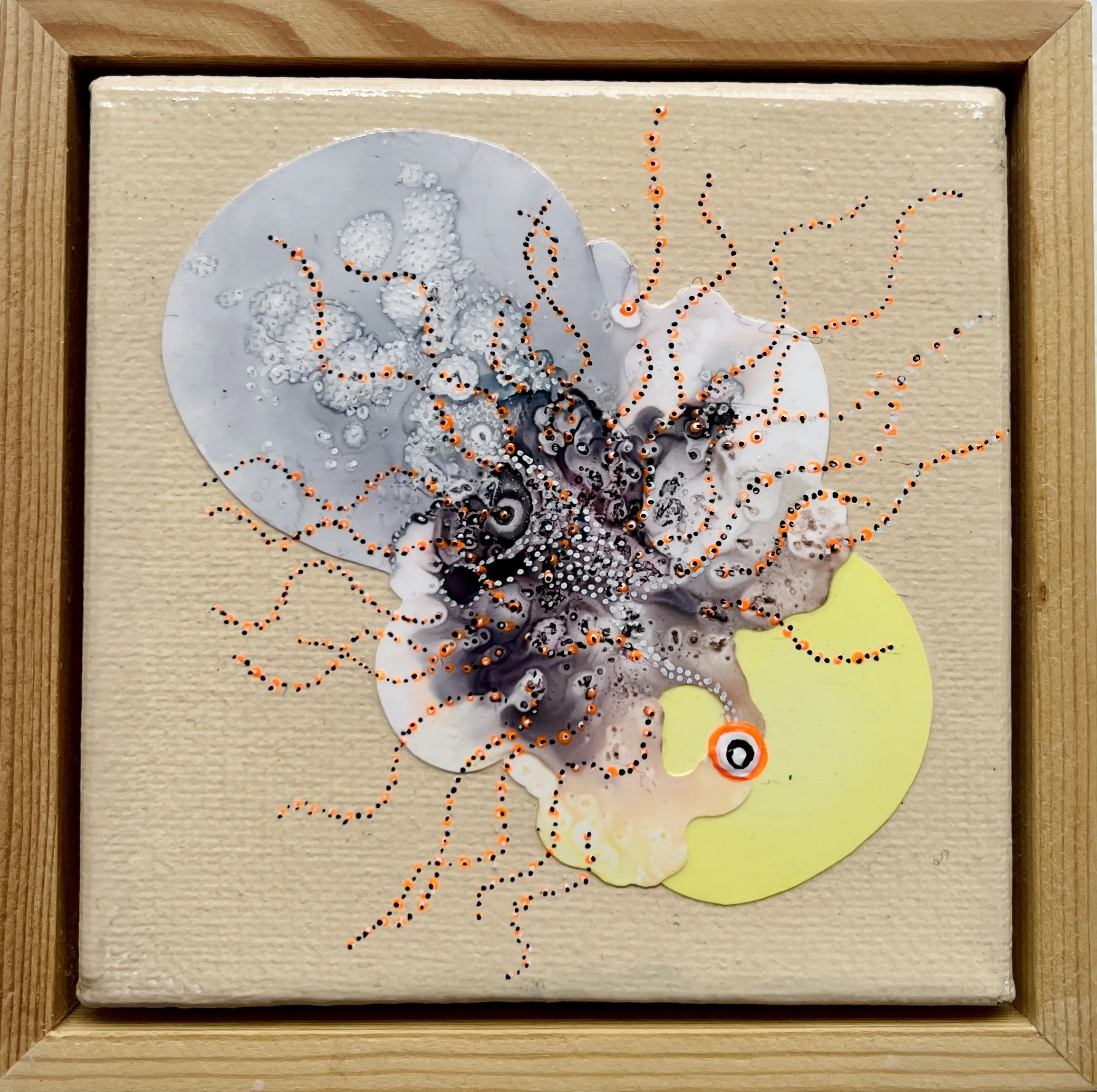 Particle Study 14 with Frame_Danyal de Gruchy.jpg