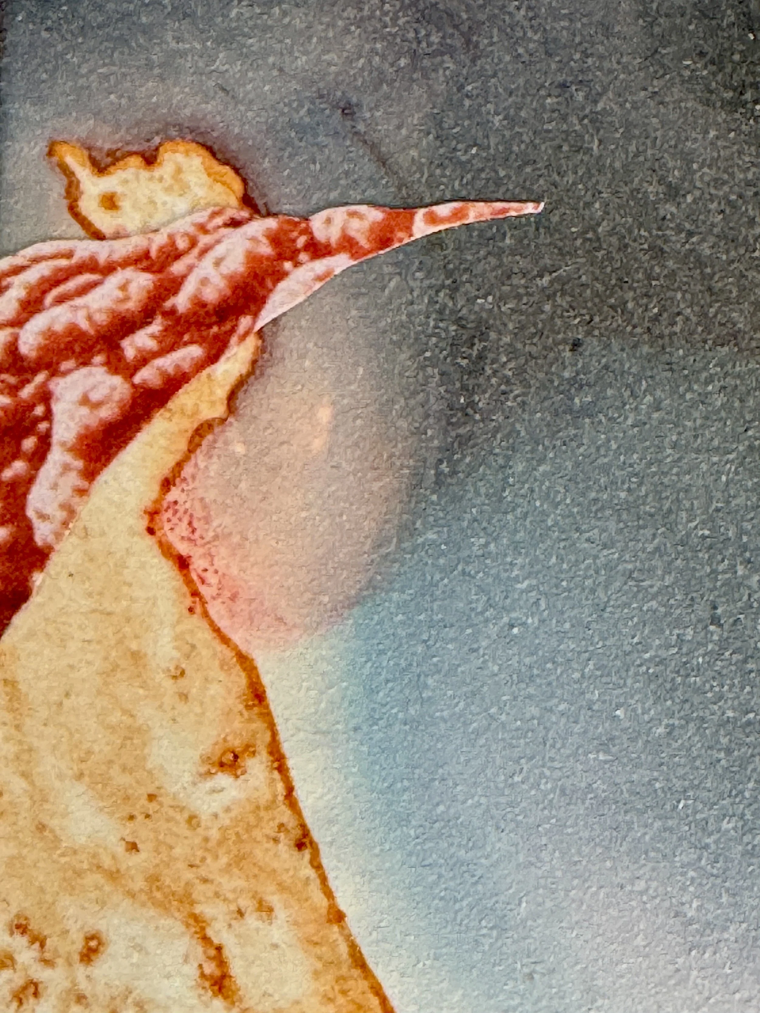 Give Your Question To the Sea Close Up 2.jpg