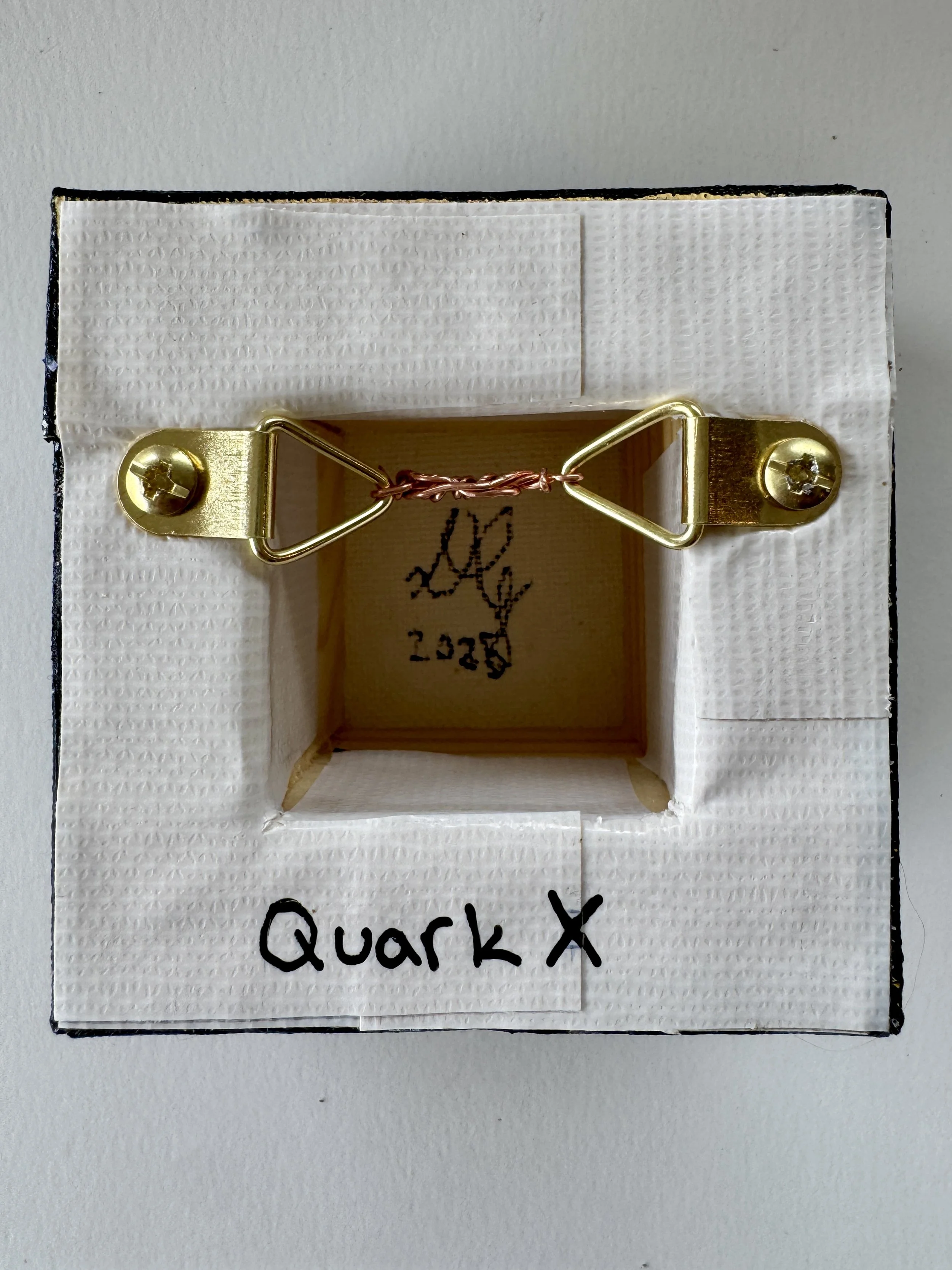 Quark X Back View.jpg