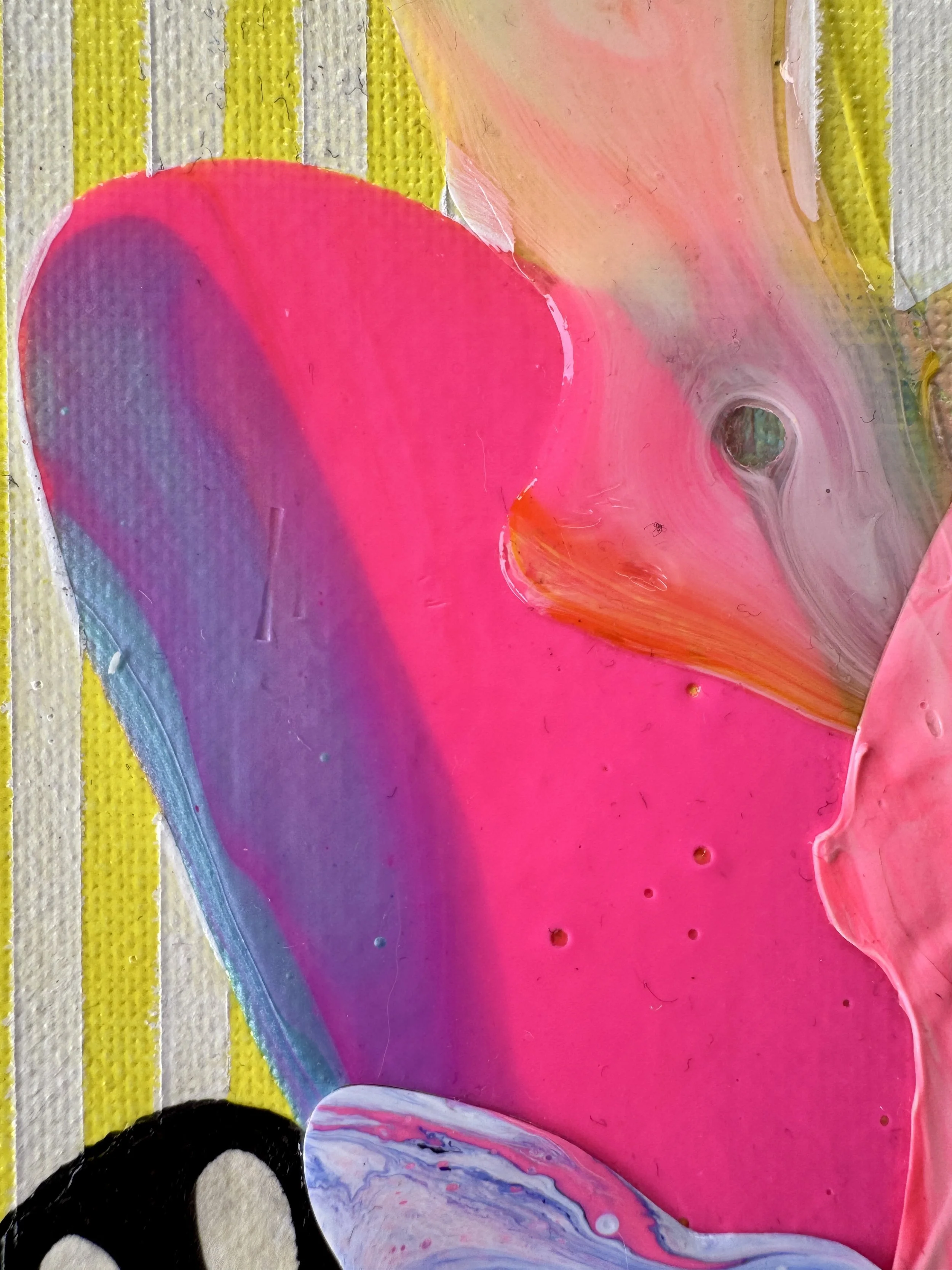 Butterfly Bonanza Close Up 3.jpg