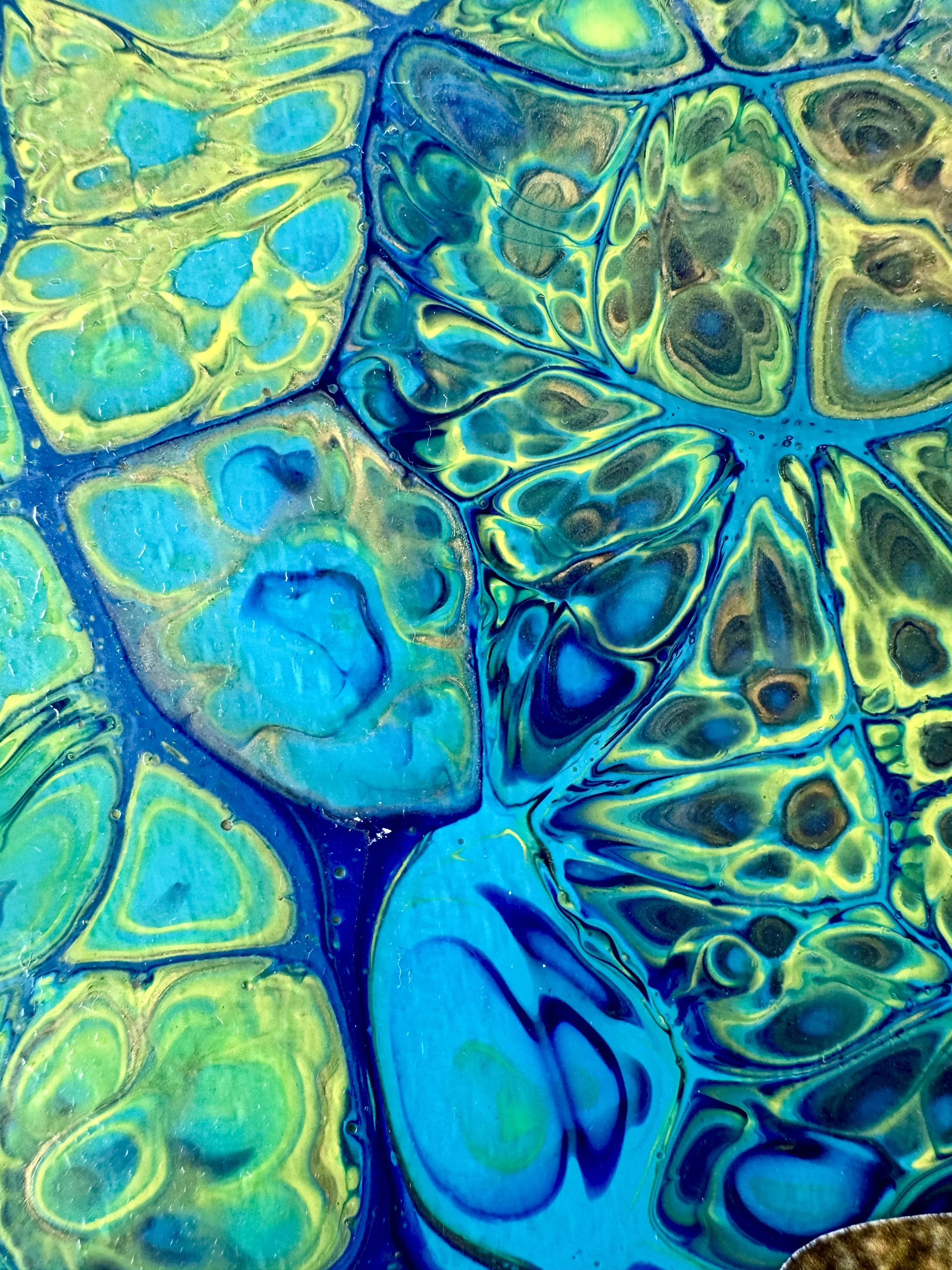 Observer or Observee Close Up 3.jpg