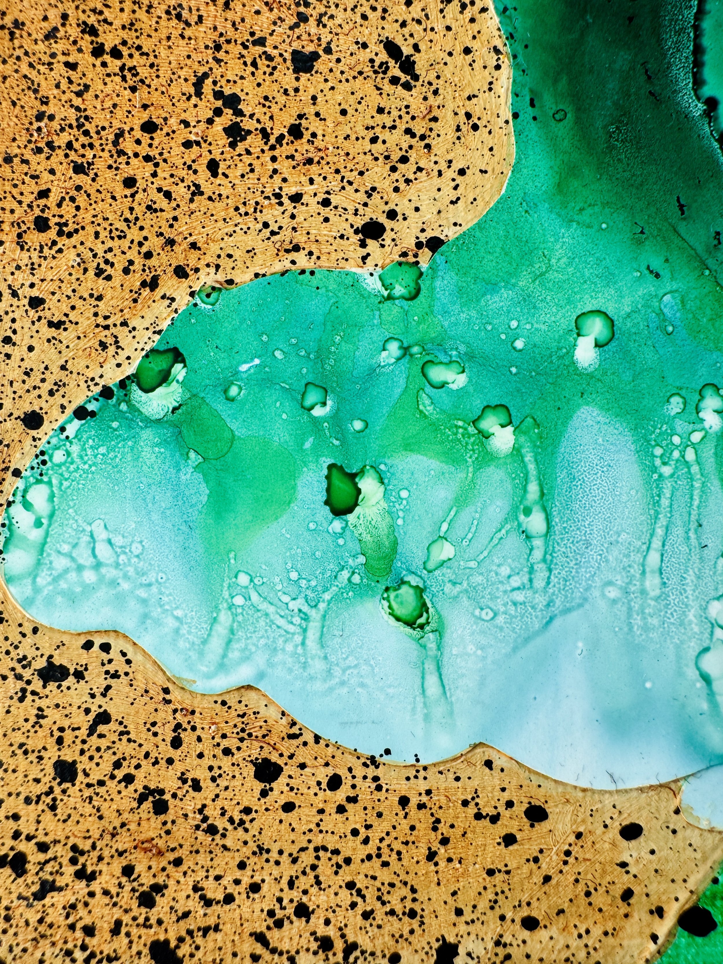 Imagine You're An Alien Close Up 3.jpg