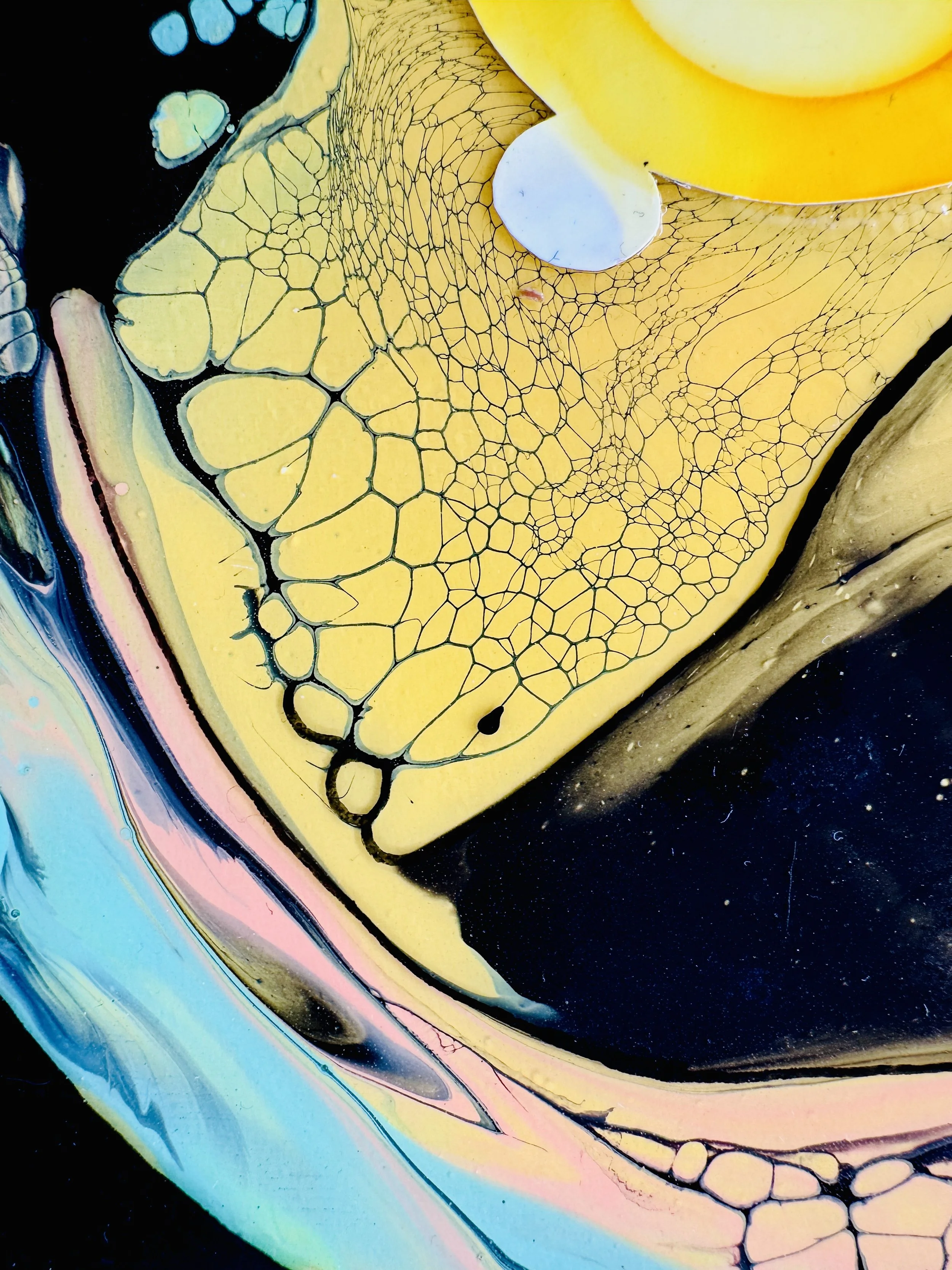 Cave Sorts Close Up 5.jpg