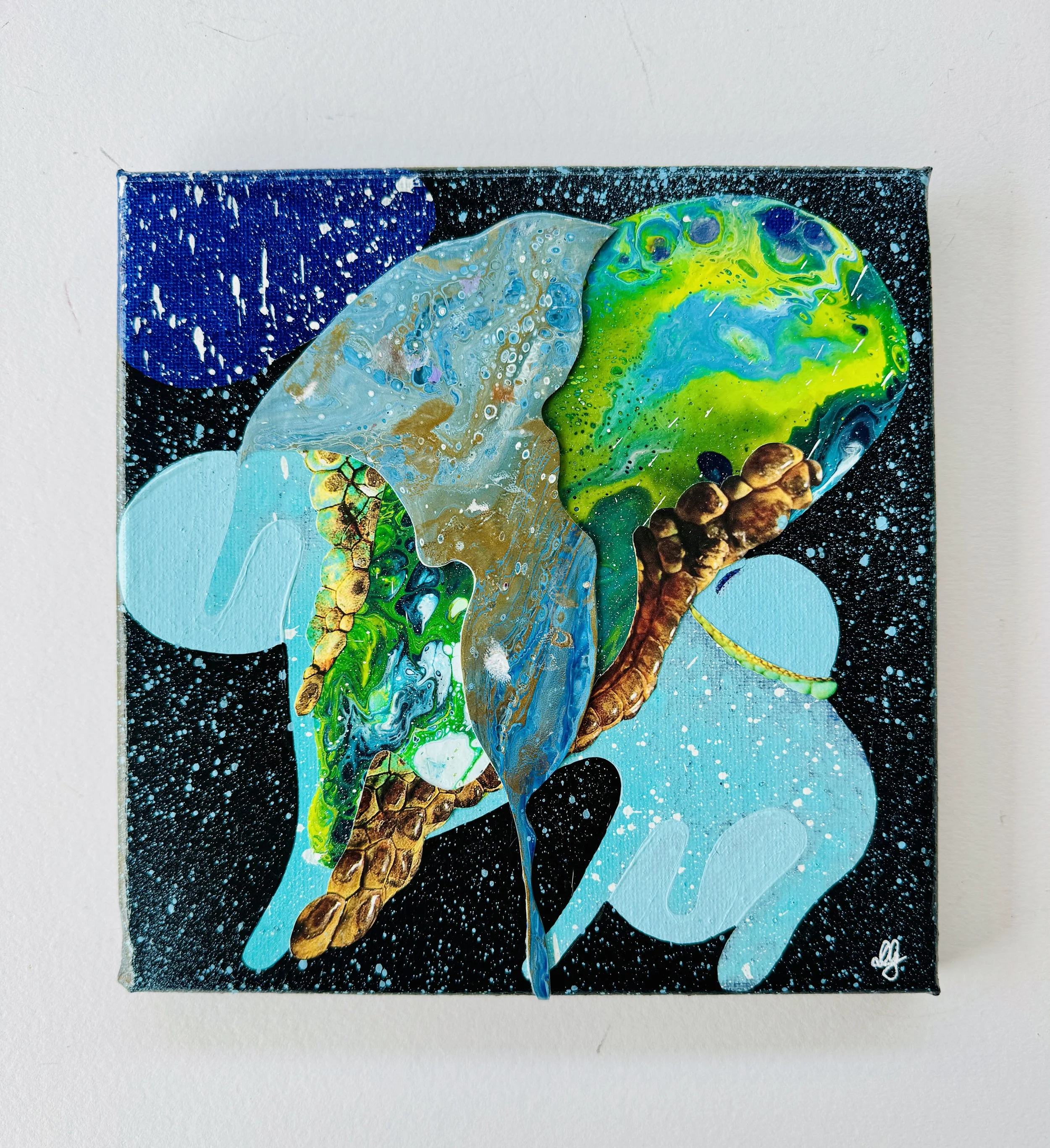 Turtle Stack White Background.jpg