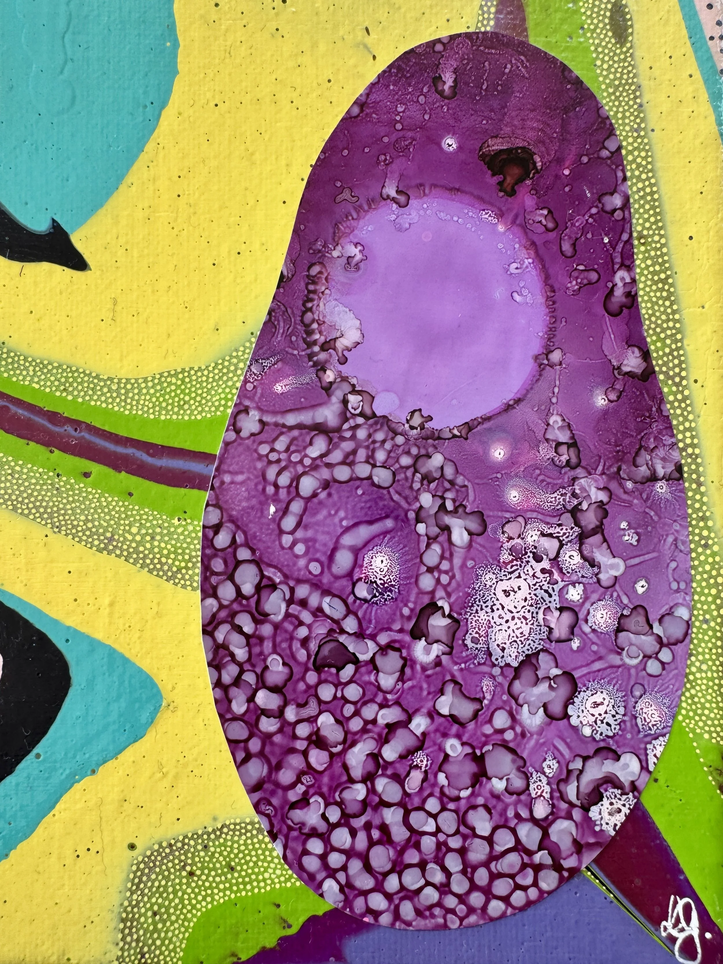 Zippidy Do Dah Close Up 3.jpg