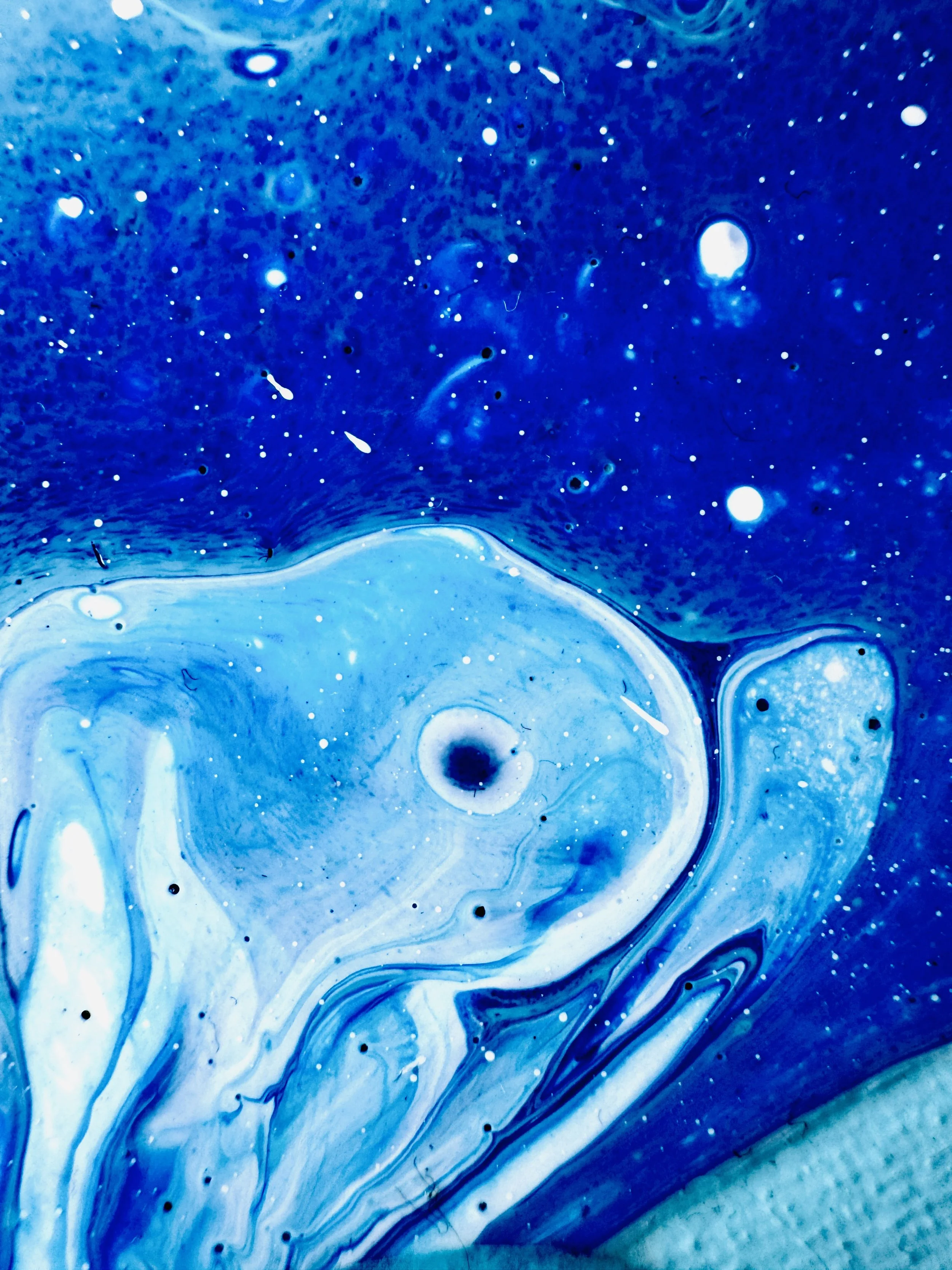 Fortune Favours The Brave Close Up 5.jpg