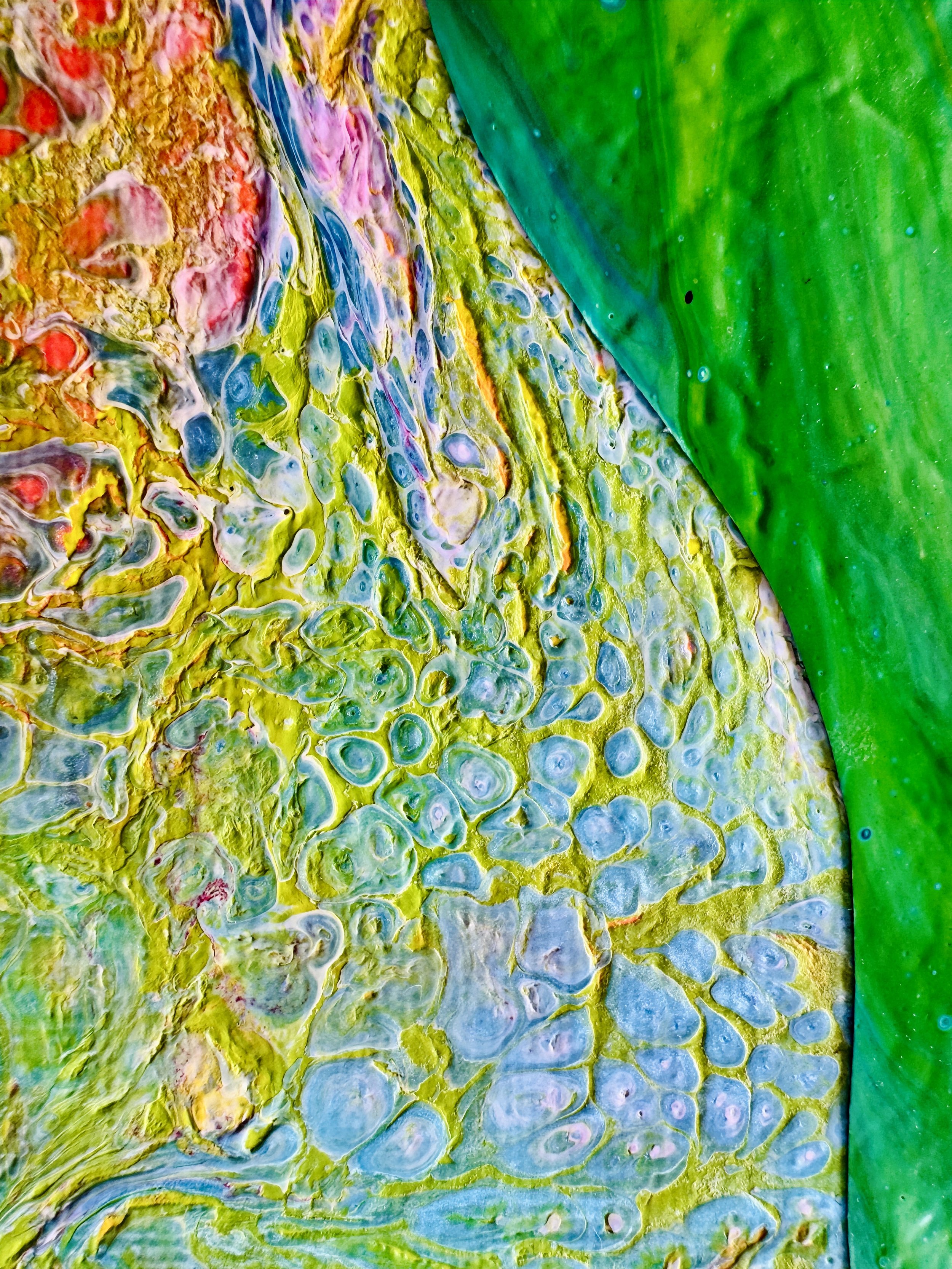 Underwing Close Up 2.jpg