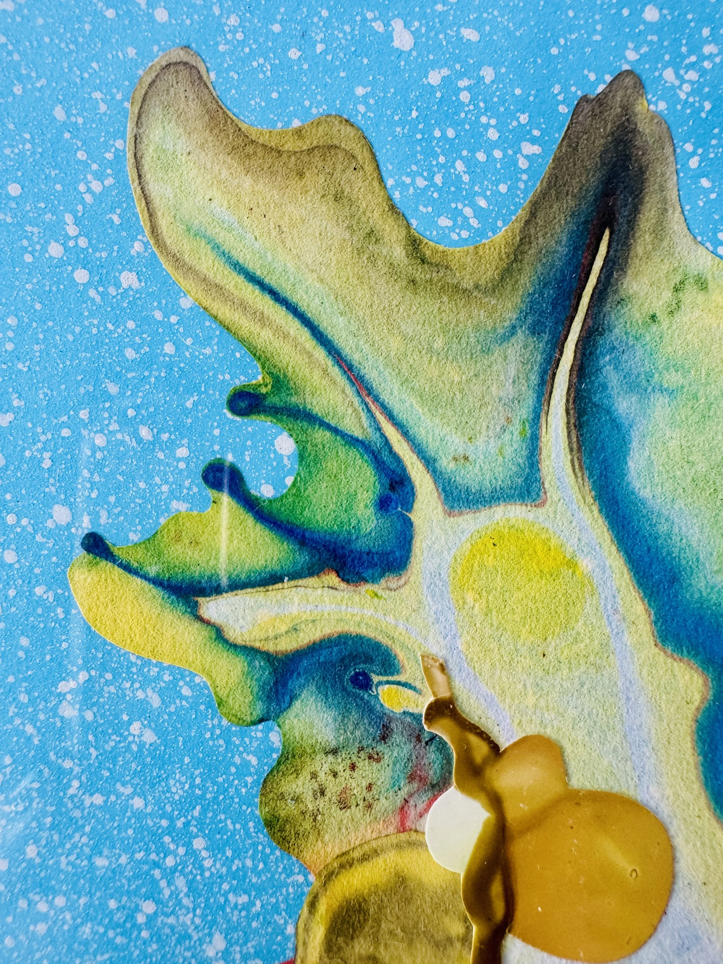 Wild and Free Up Close 2.jpg