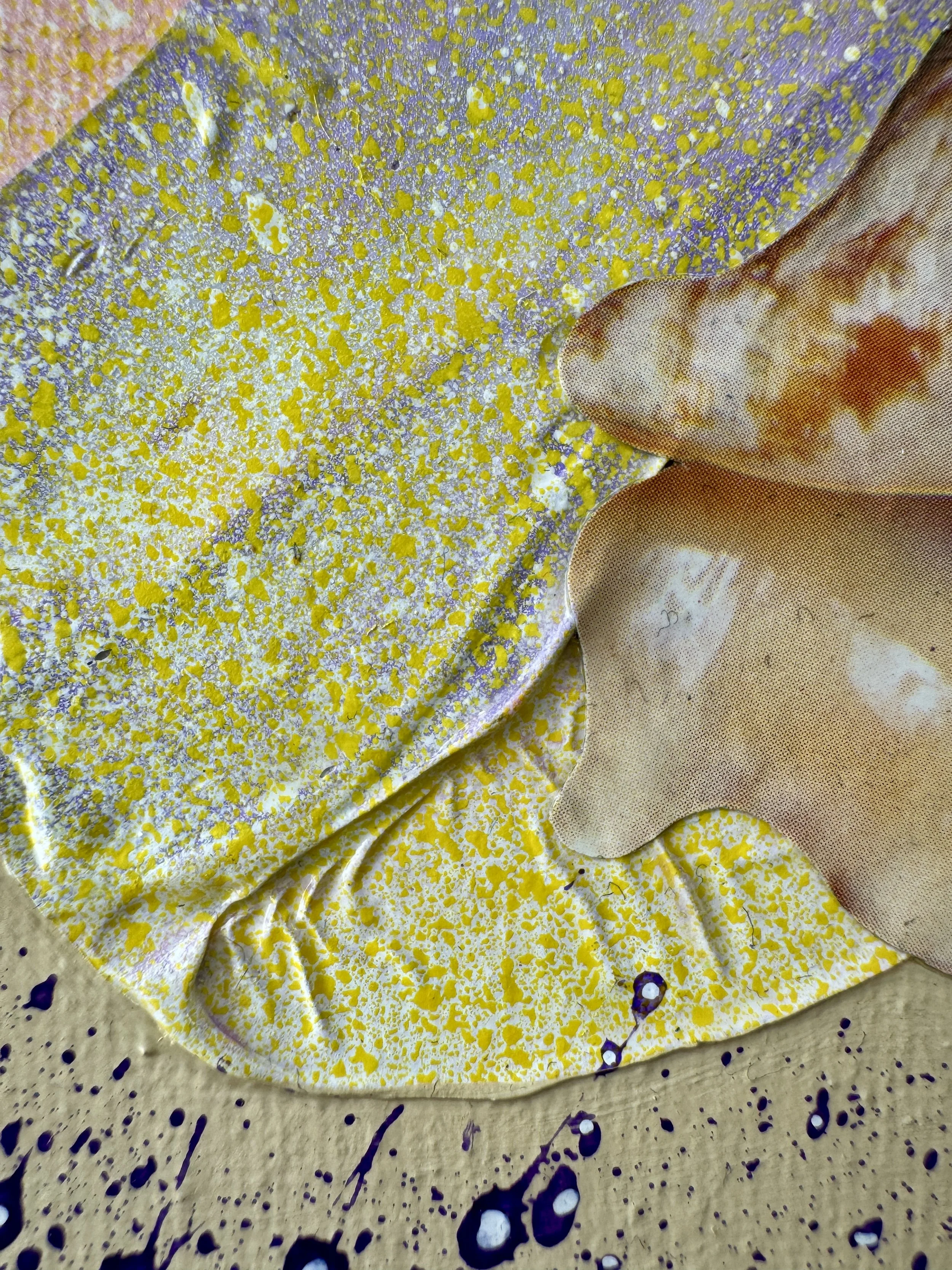 Soft Changes Close Up.jpg