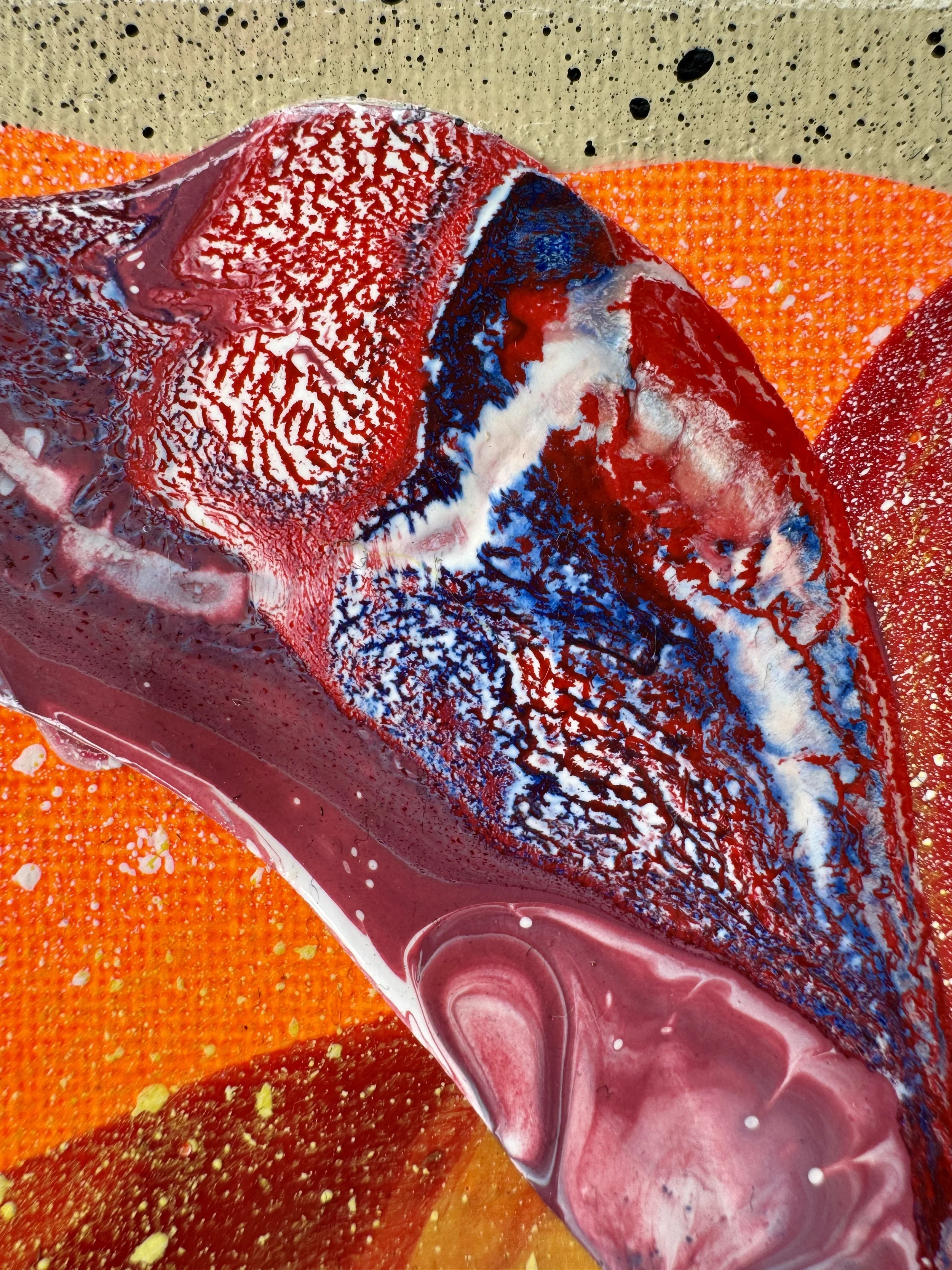 Sea Squabble Close Up 2.jpg