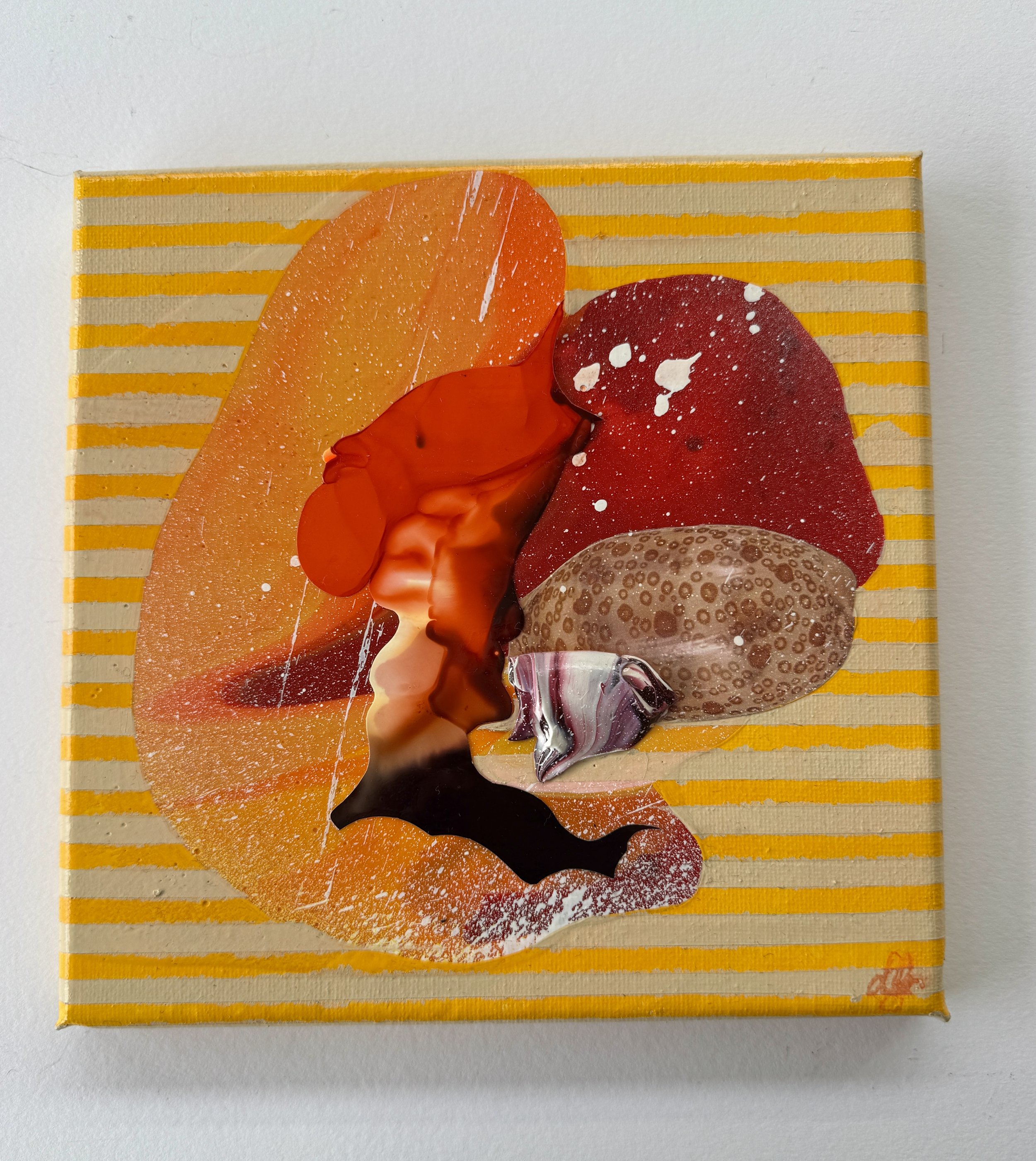 Venetian Blinds and Islands White Background.jpg