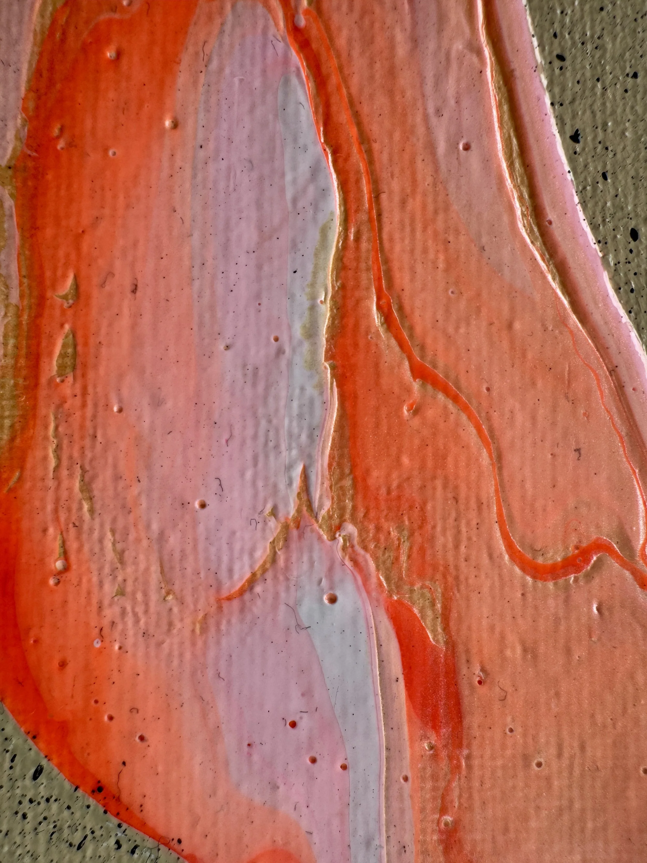 Pelican Politics Close Up 4.jpg