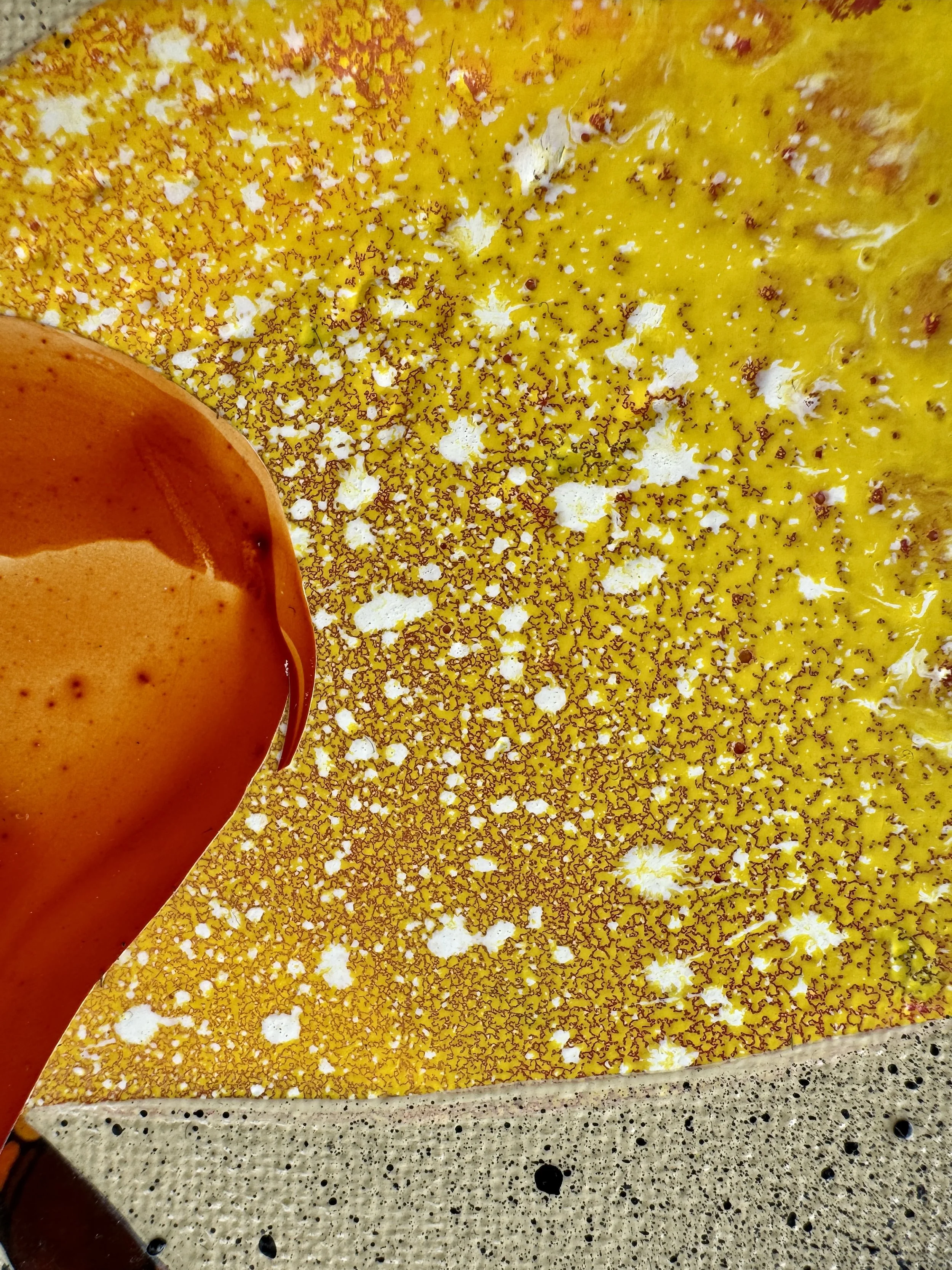 Revenge and Reverence Close Up 5.jpg